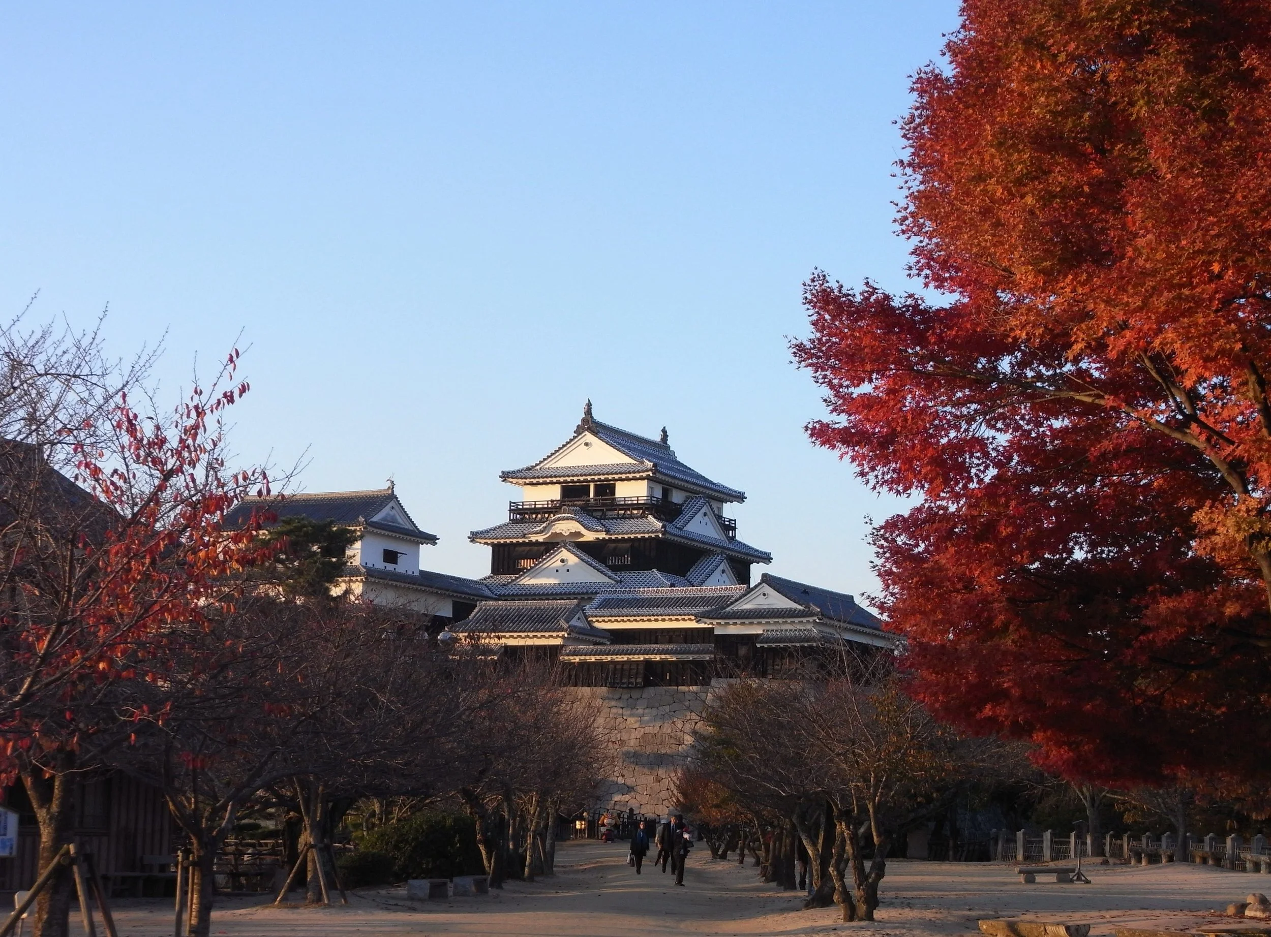松山城紅葉1.JPG