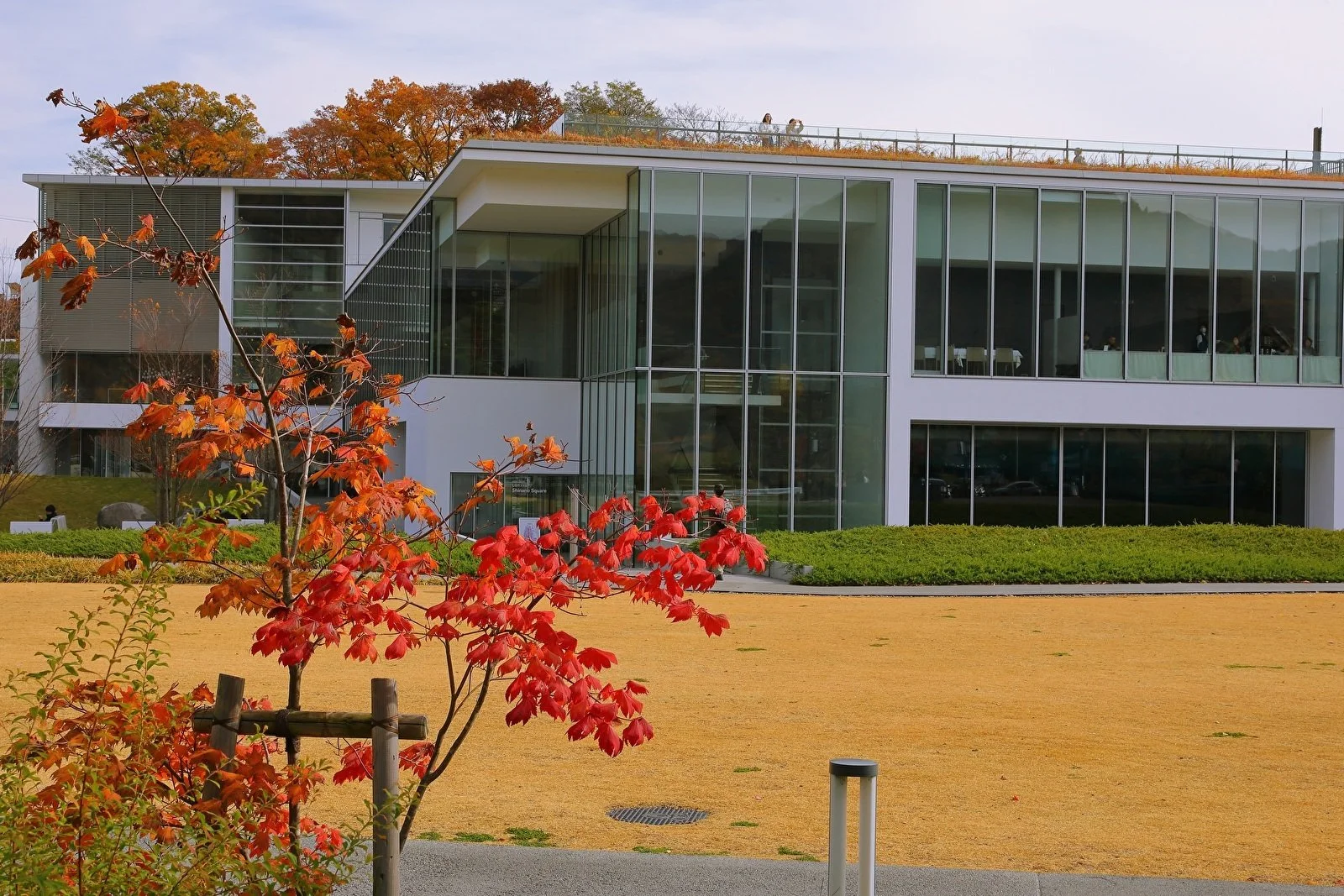 Nagano Prefectural Art Museum秋1 72dpi.jpg