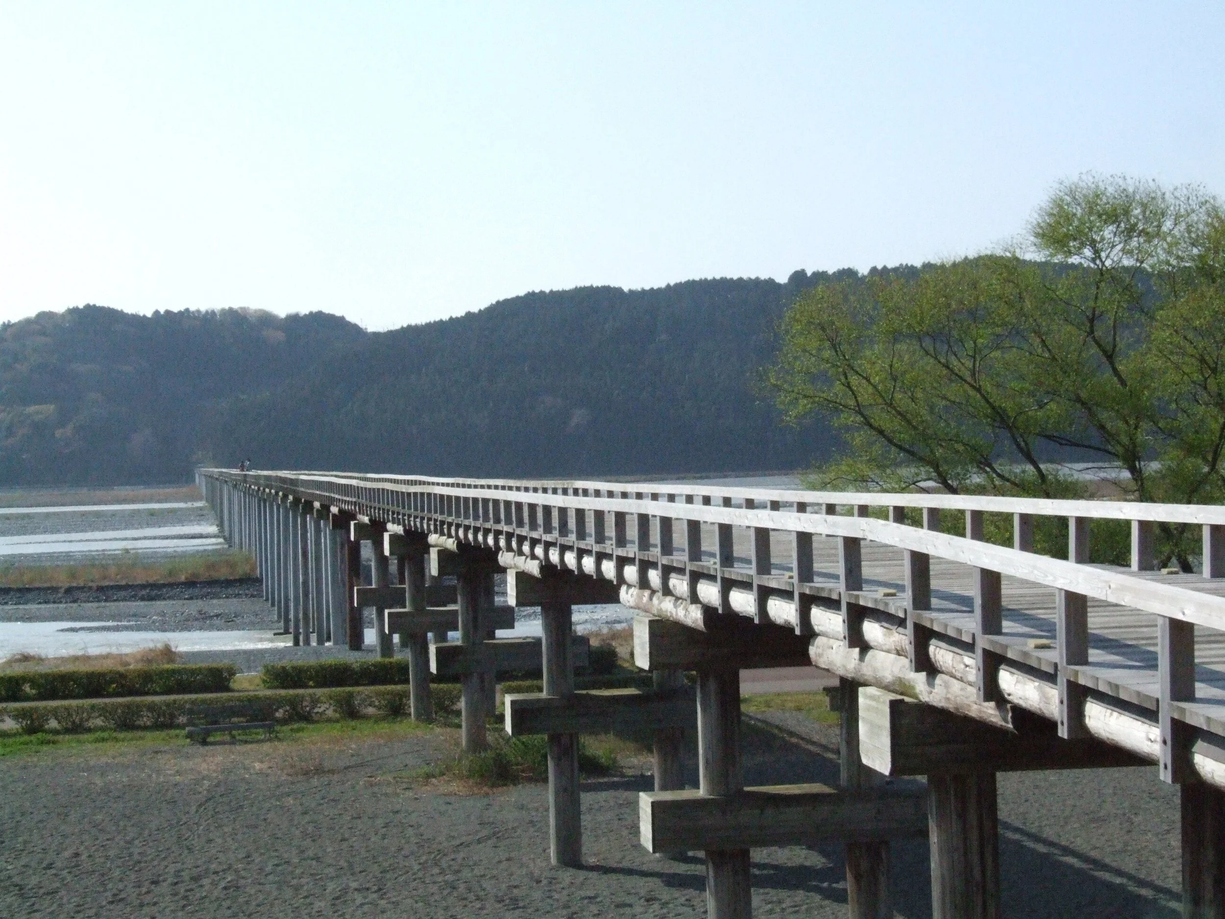 Horai Bridge stretching 897.4 meters across the Ōi River in Shimada — the world's longest wooden pedestrian bridge, still in use today.