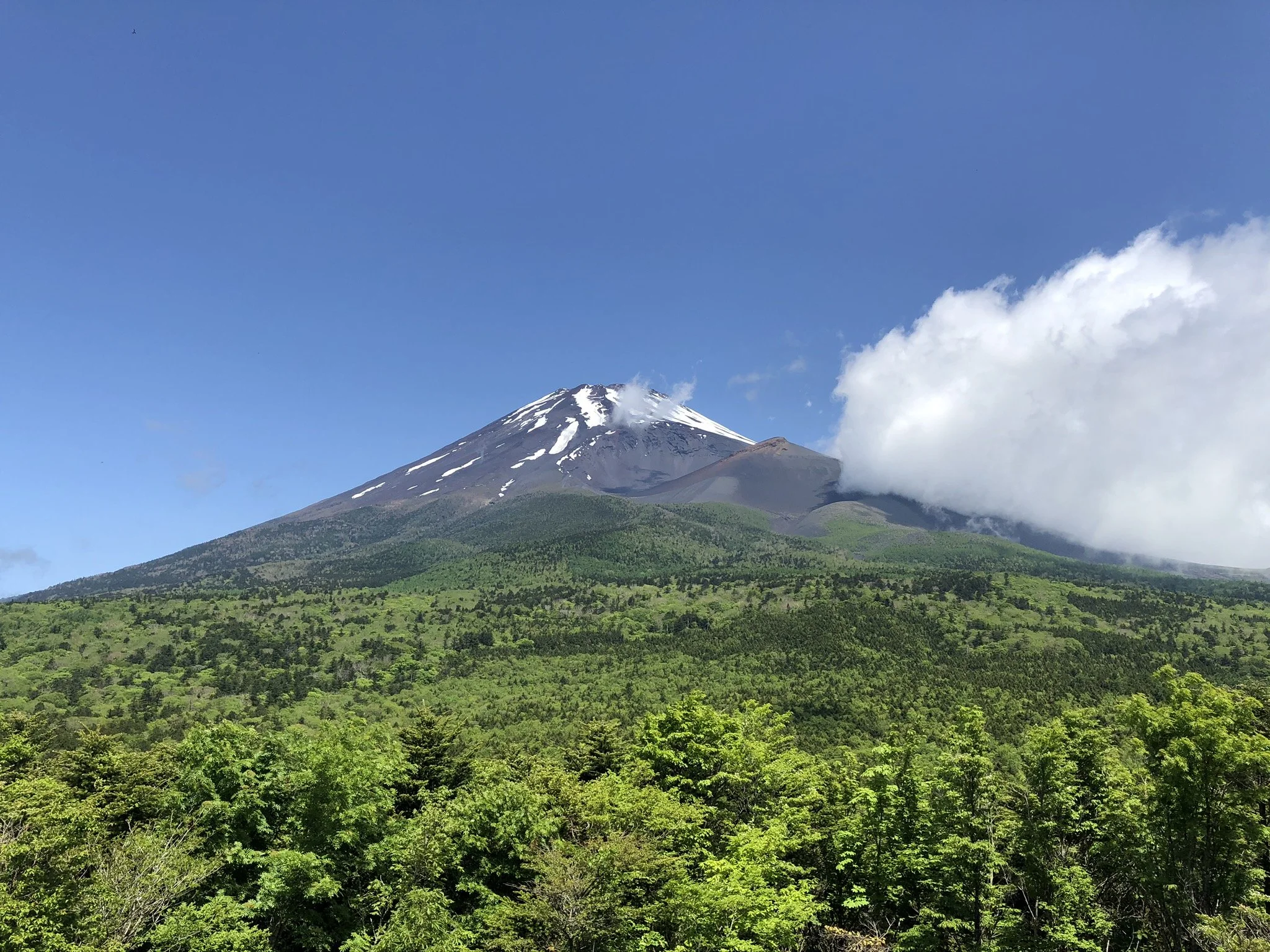 Mizugatsuka Park: A Sky-High Viewpoint to Feel the Majesty of Mt. Fuji