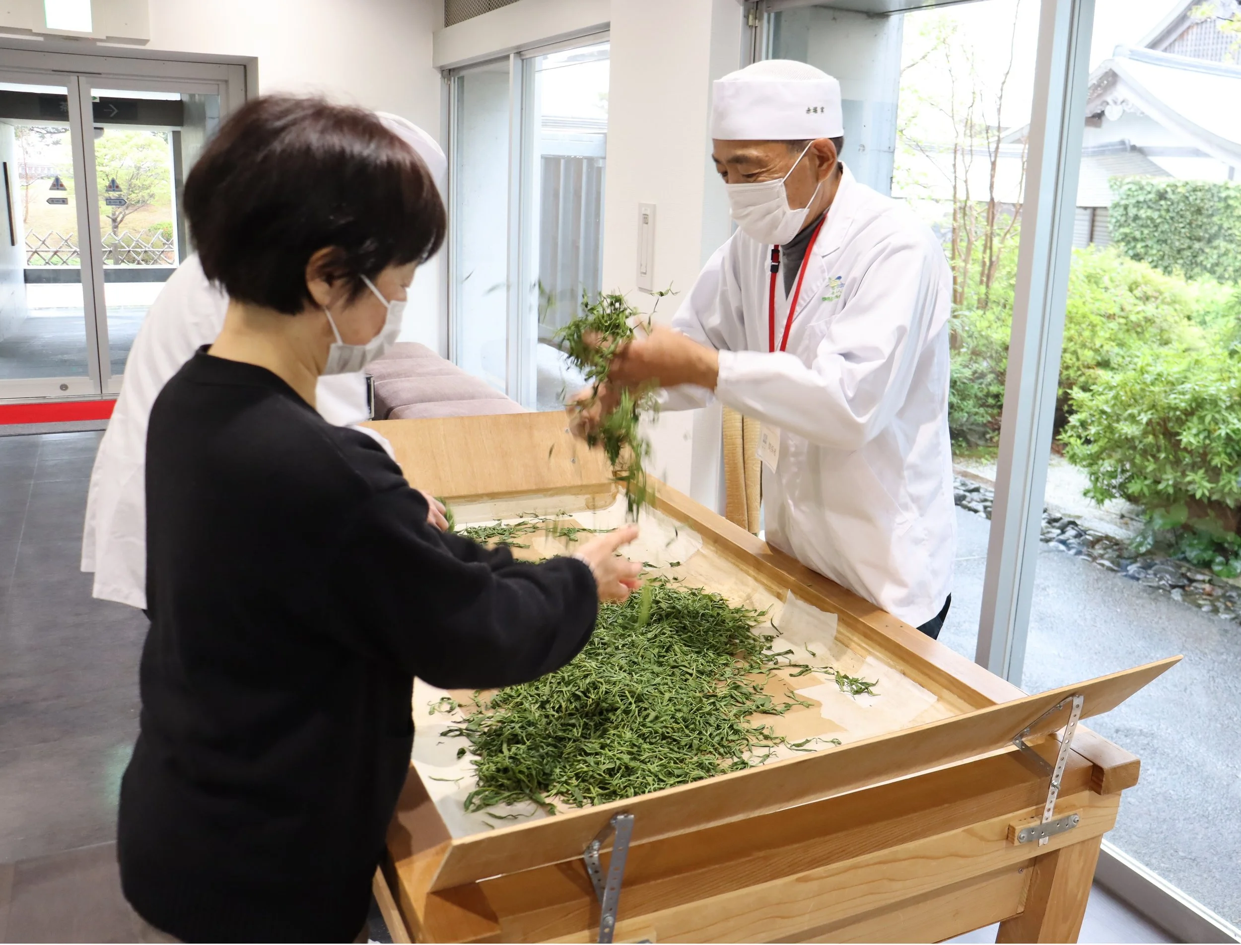 茶手揉み体験.jpg