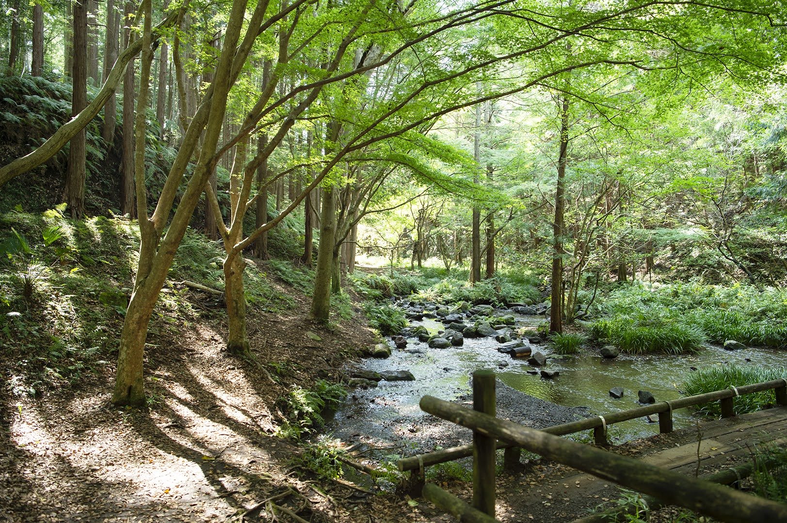 施設周辺　小川2.jpg