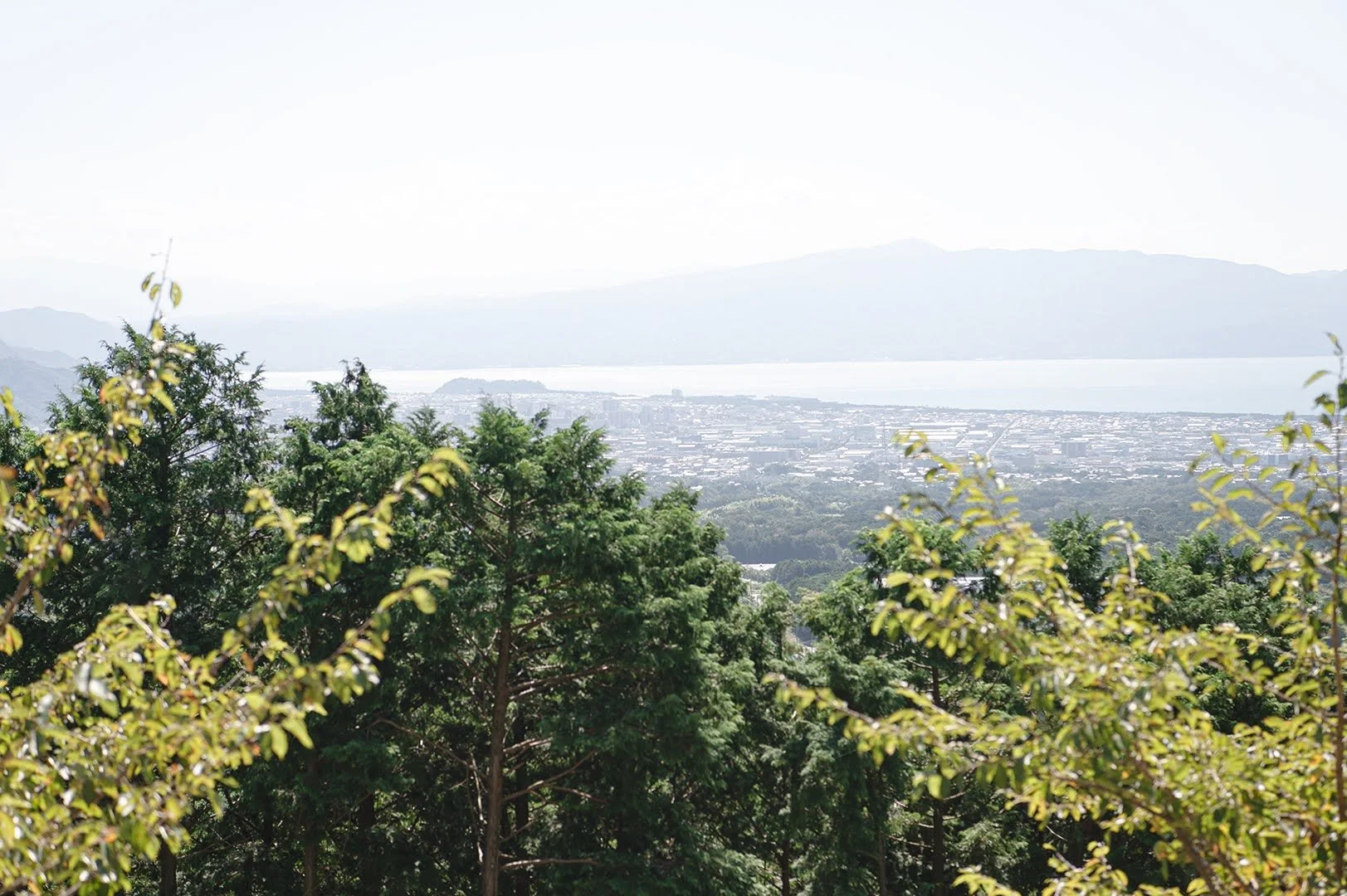 裏山.jpg