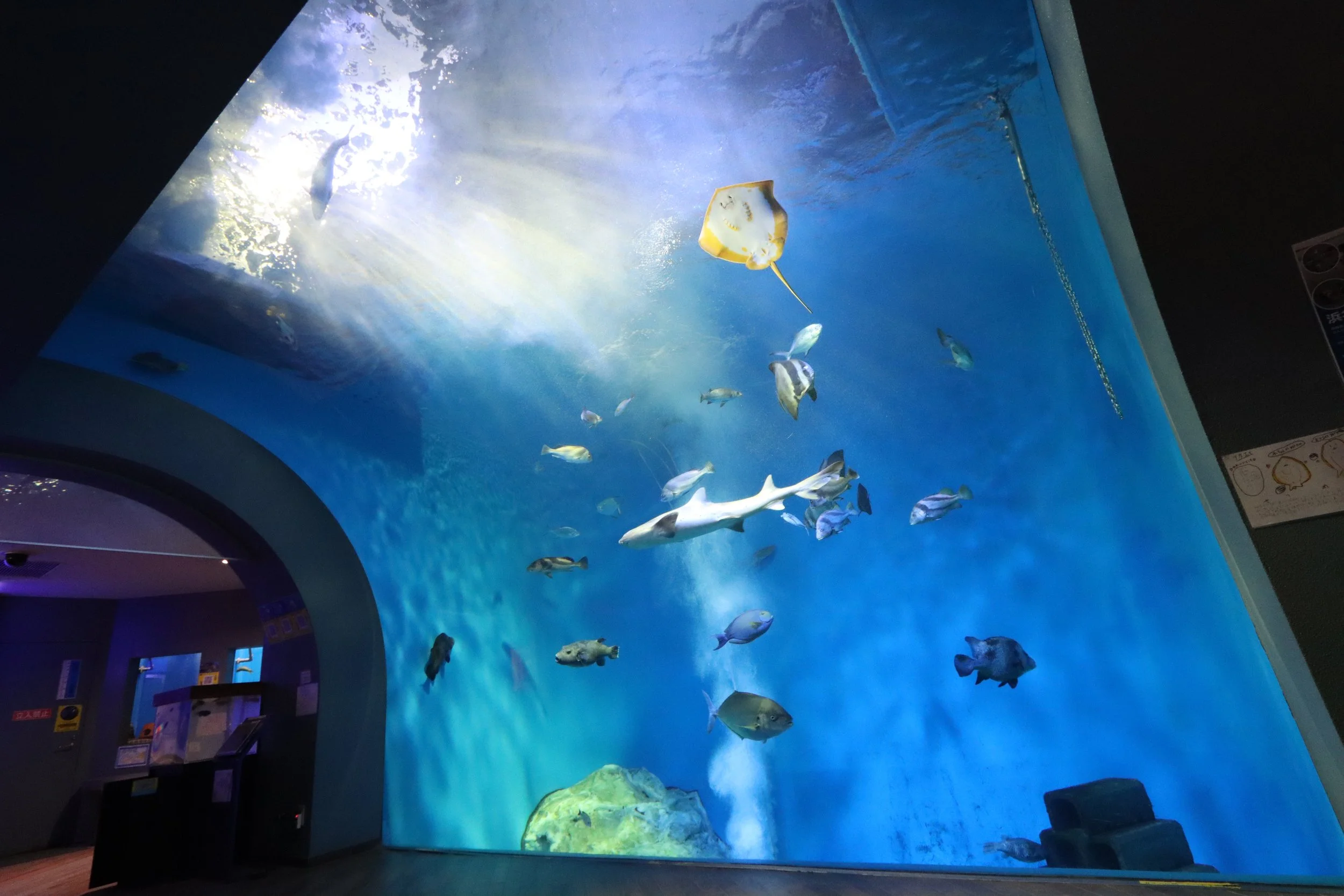 Discover the Wildlife of Lake Hamana Up Close — Explore the Waterside World at Lake Hamana Aquarium Uotto