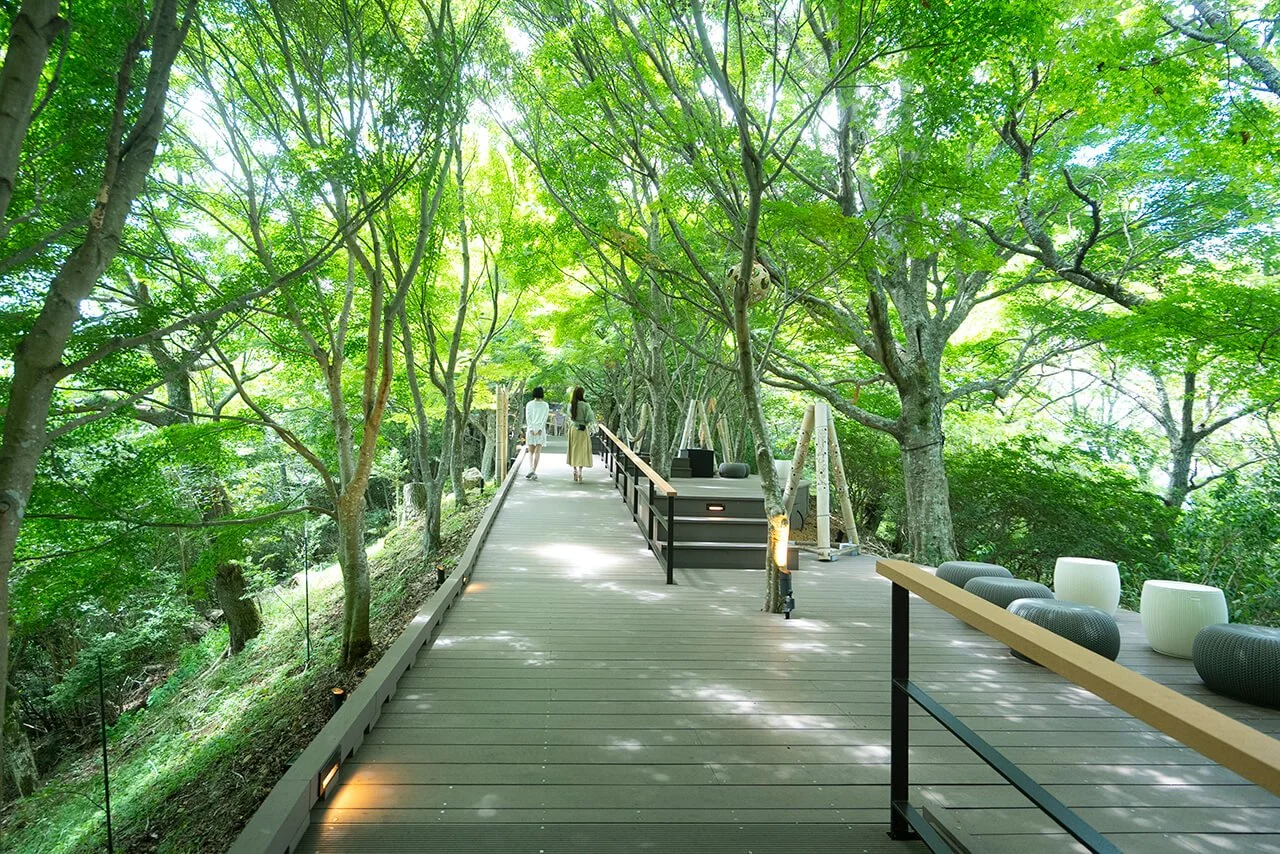 forestwalk.jpg