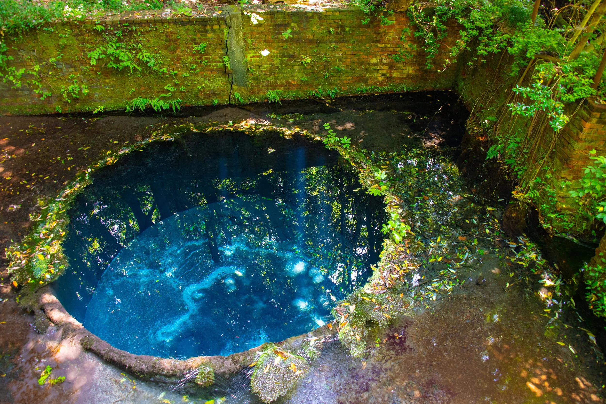 A Crystal-Clear Spring Born from Mount Fuji — Discover One of Japan’s Finest Water Sources at Kakita River Park