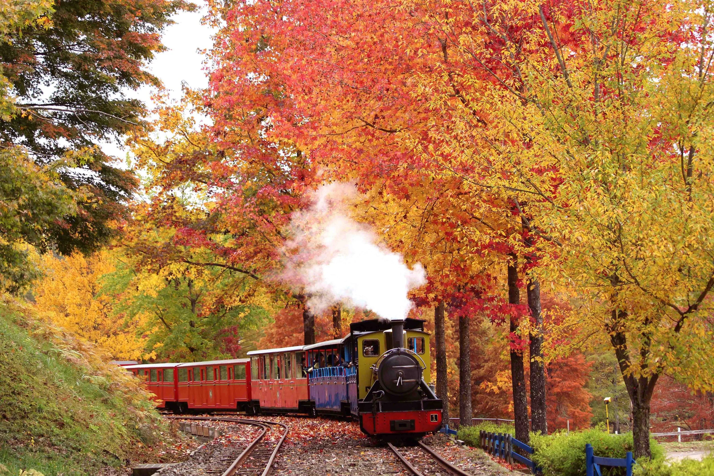 ロムニー鉄道と紅葉9740.JPG