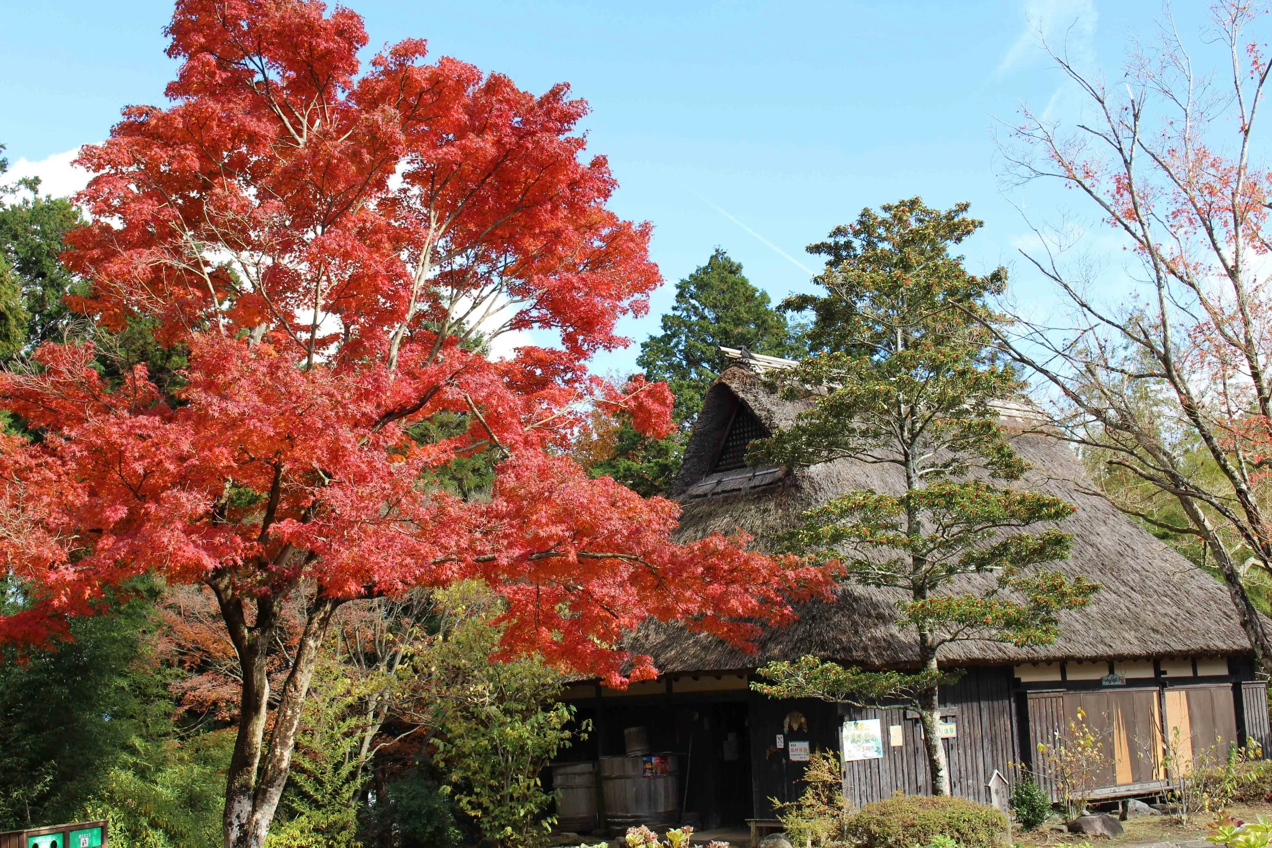 匠の村_0071.JPG