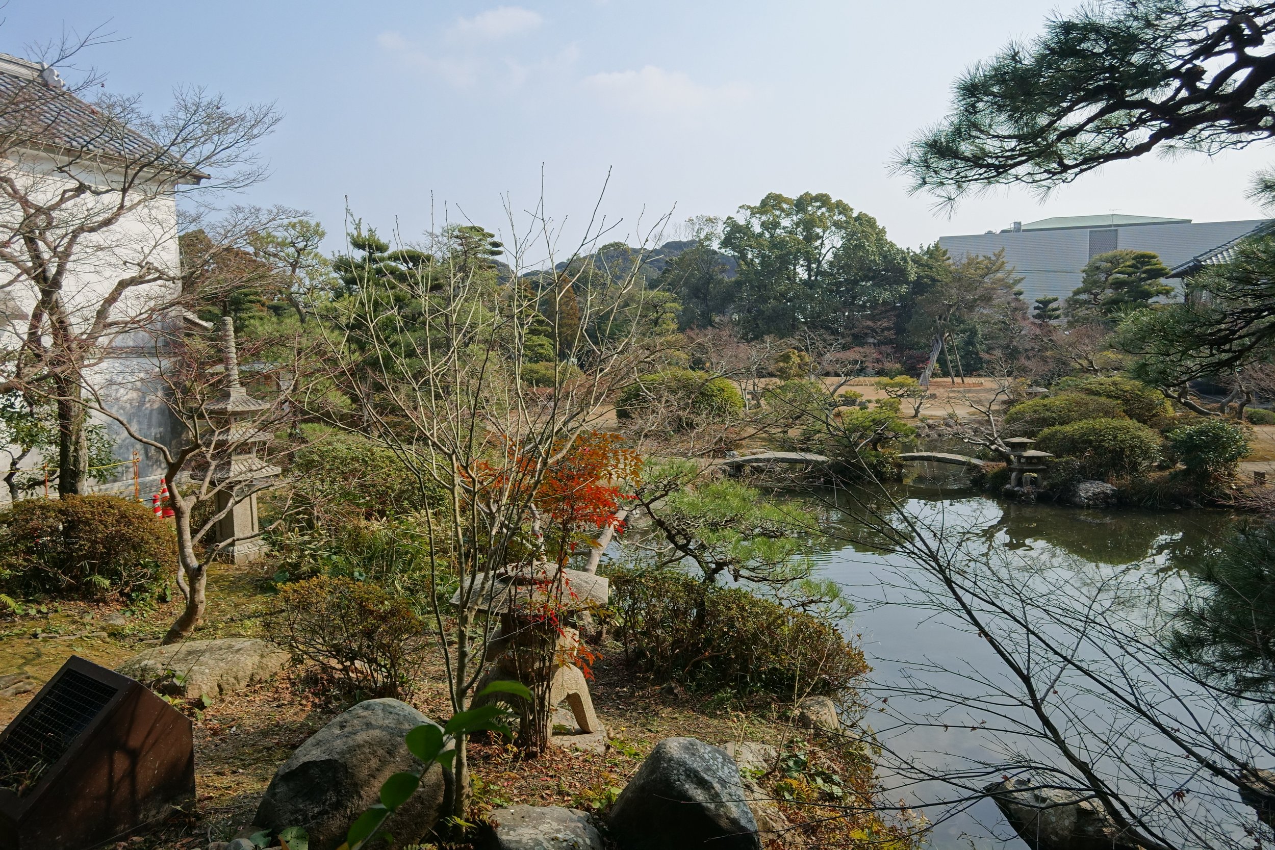 DSC04896.JPG