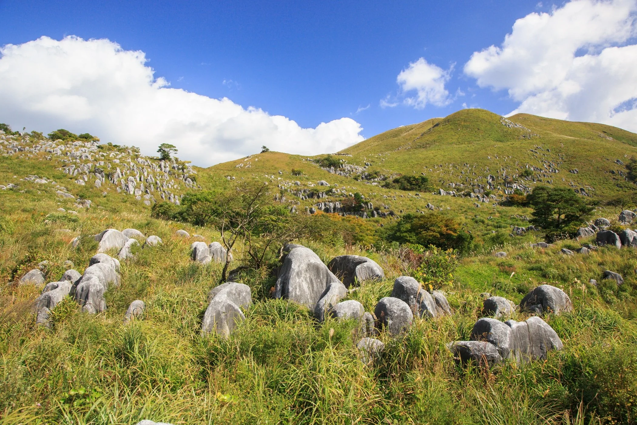 Rolling green hills scattered with pale limestone boulders under a bright blue sky at Hiraodai, one of Japan's three great karst plateaus in Kitakyushu.