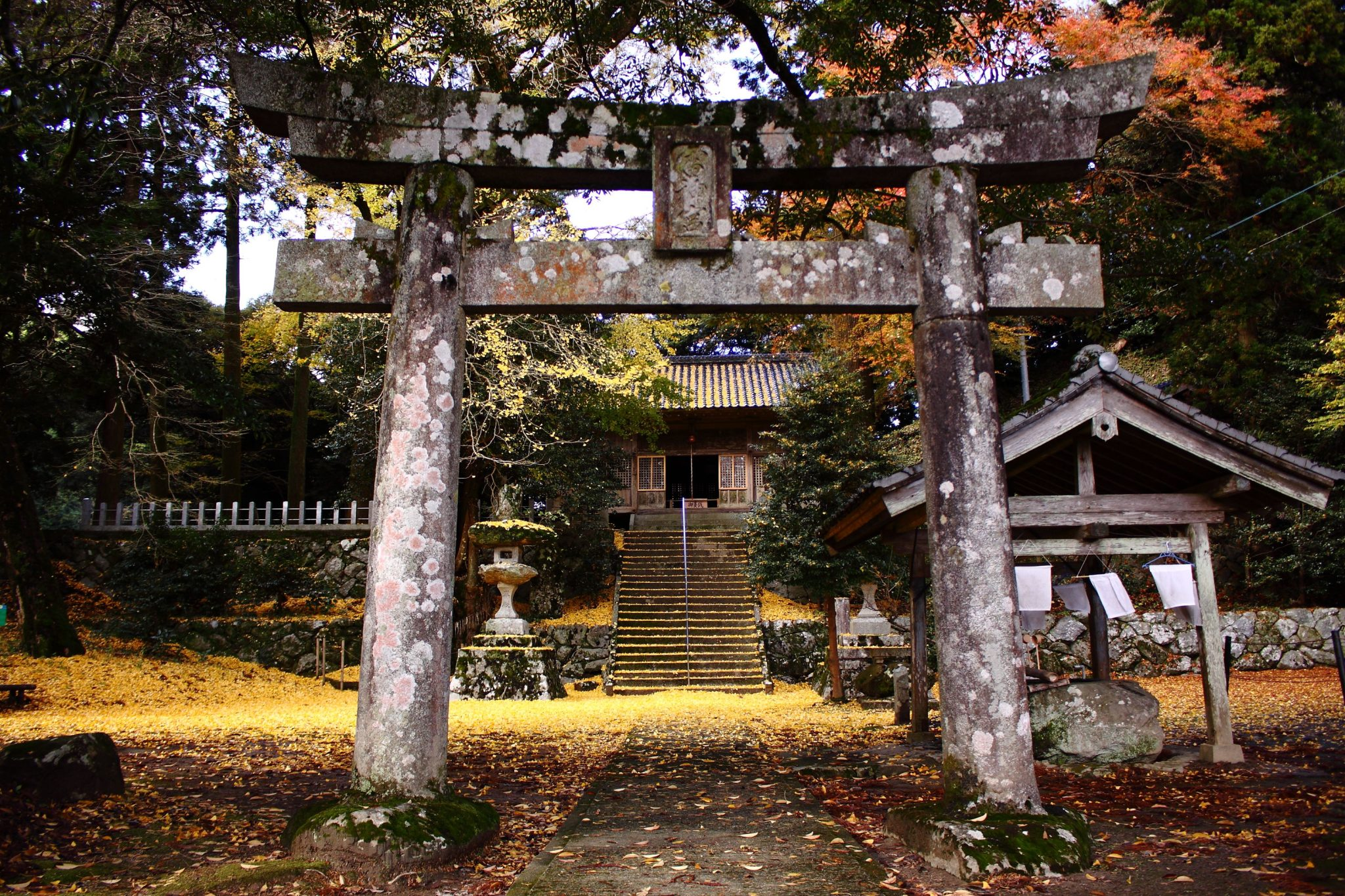 Ancient Itoshima: Where the Sea Meets the Mysteries of Himiko