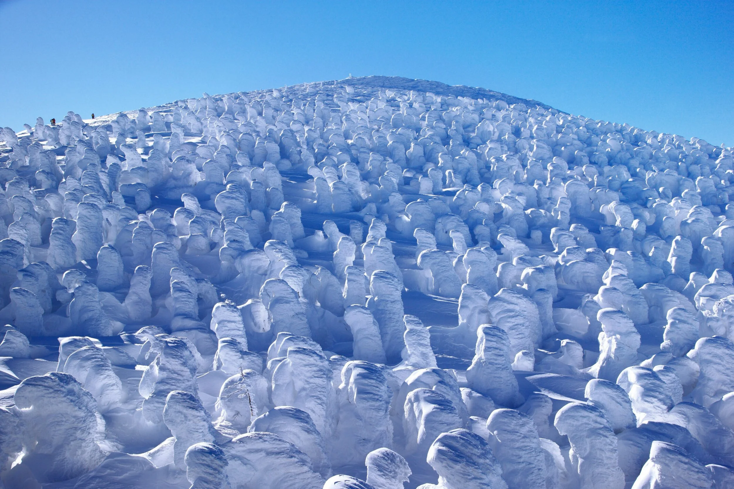 Snow- and ice-covered "juhyo" snow monsters on a slope at Zao Onsen under a clear blue winter sky in Yamagata, Japan.