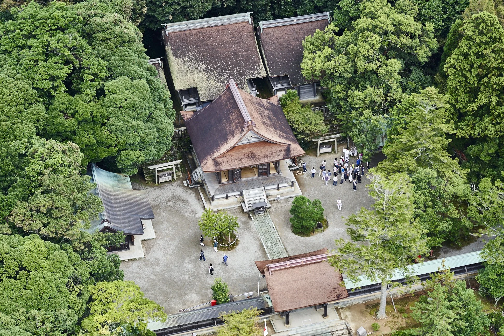 Aerial view of Keta Taisha's ancient wooden shrine complex emerging from a dense sacred forest in Noto, Ishikawa — a hidden gem of Japanese spirituality.