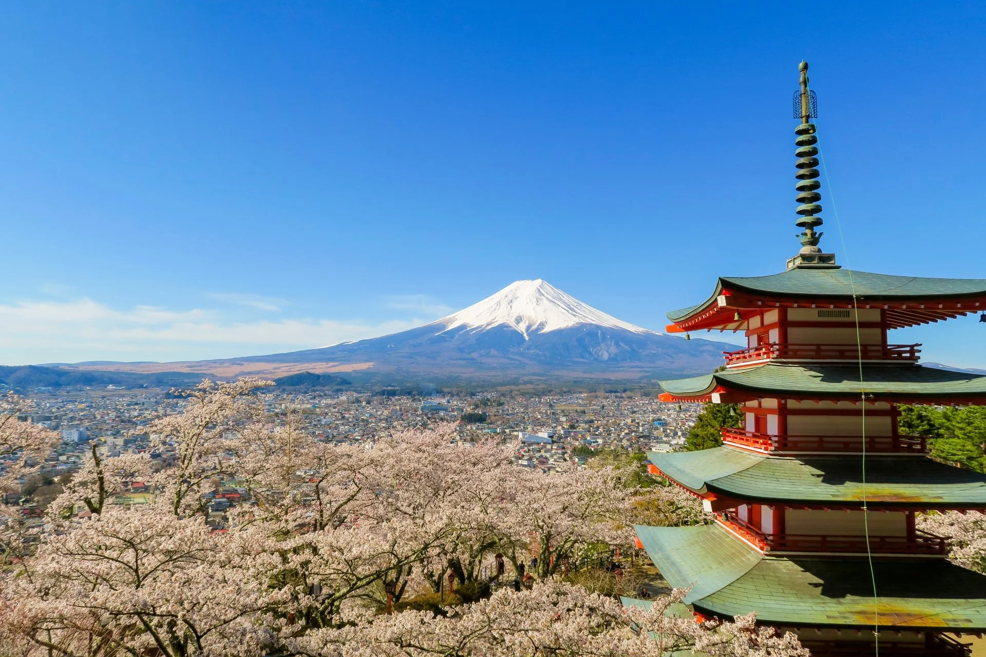 Scenic view of Mount Fuji with a snow-capped peak and a temple with traditional Japanese architecture in the foreground, surrounded by cherry blossom trees and a clear blue sky.