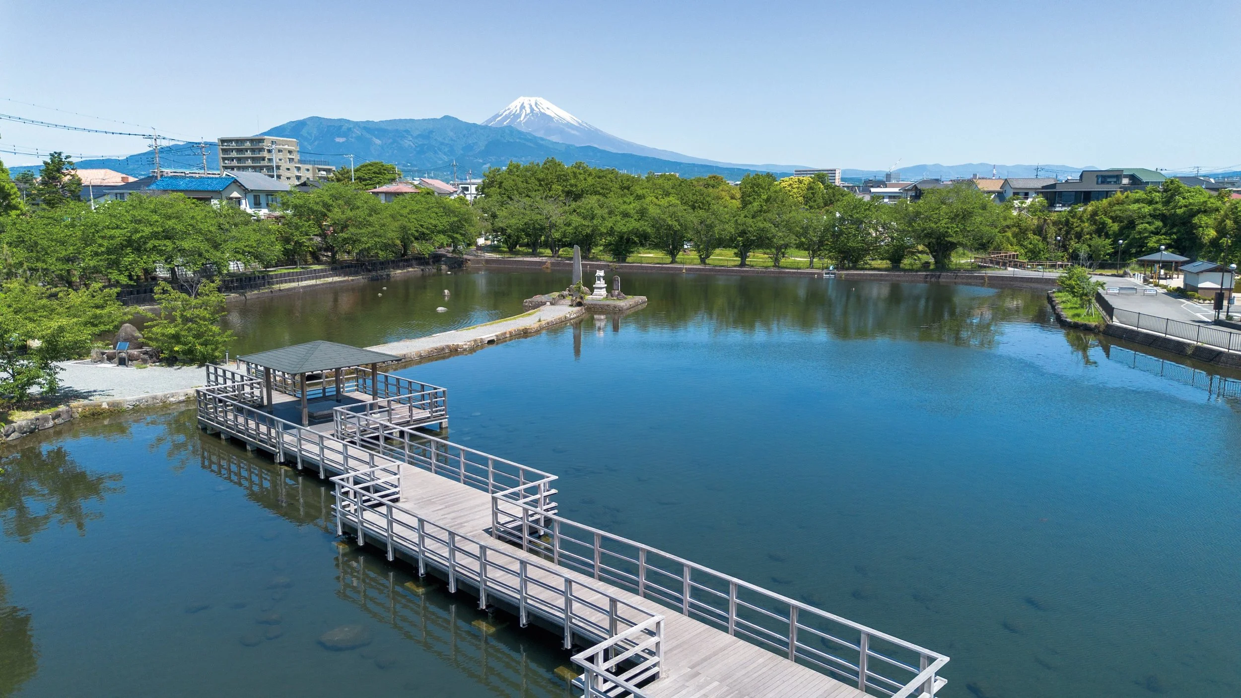 Maruike pond reflecting cherry blossoms with Mt. Fuji's snow-capped peak beyond the wooden boardwalk on a clear spring day.