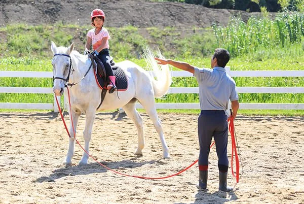 A bowl of udon noodle soup topped with green onions, tempura, beef, and a fish cake, served alongside onigiri rice balls wrapped in seaweed.