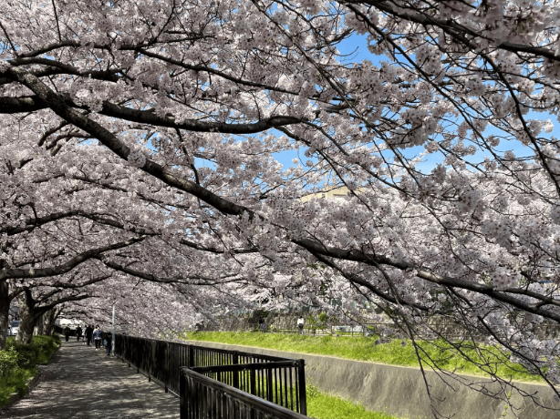 A bowl of udon noodle soup topped with green onions, tempura, beef, and a fish cake, served alongside onigiri rice balls wrapped in seaweed.