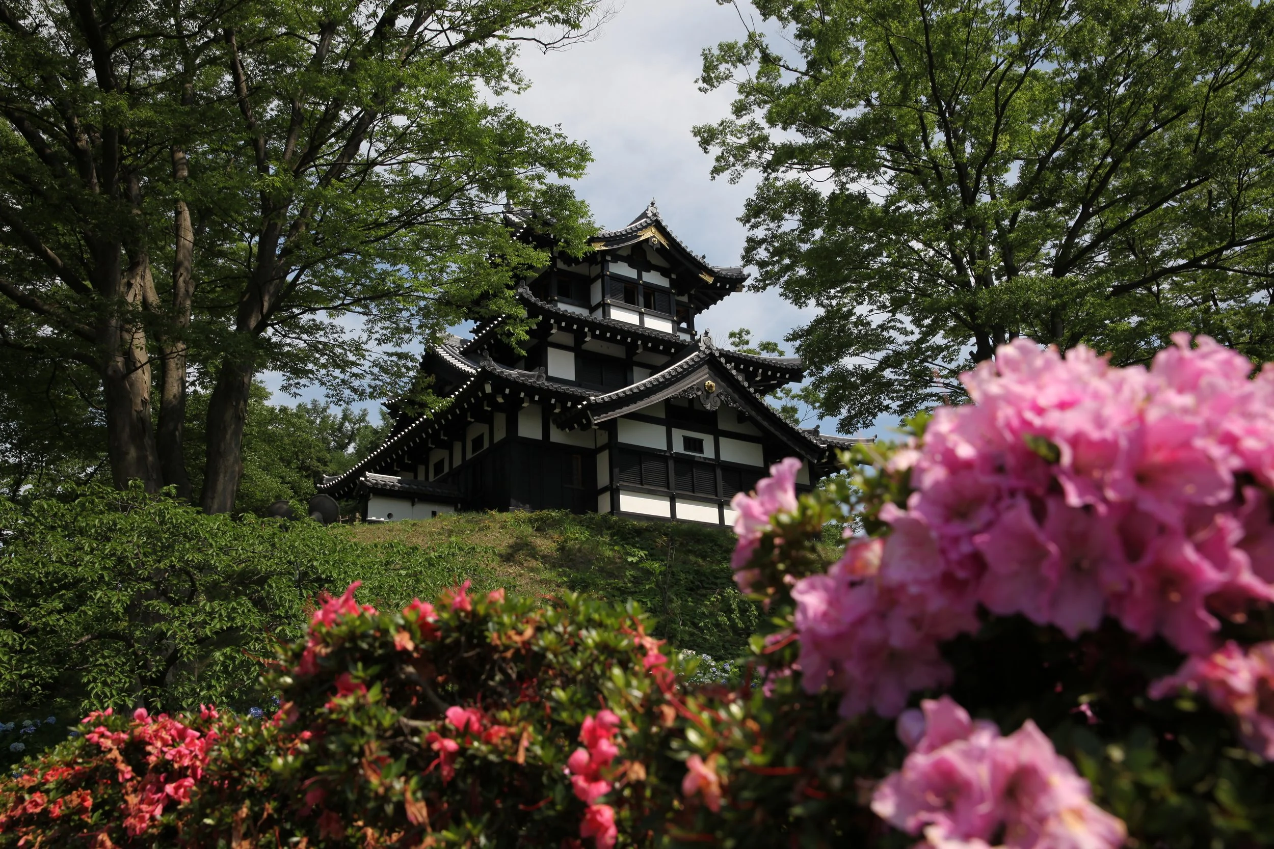 Reconstructed three-story turret of Takada Castle framed by pink azaleas and fresh green trees — a historic hidden gem in Joetsu, Niigata.