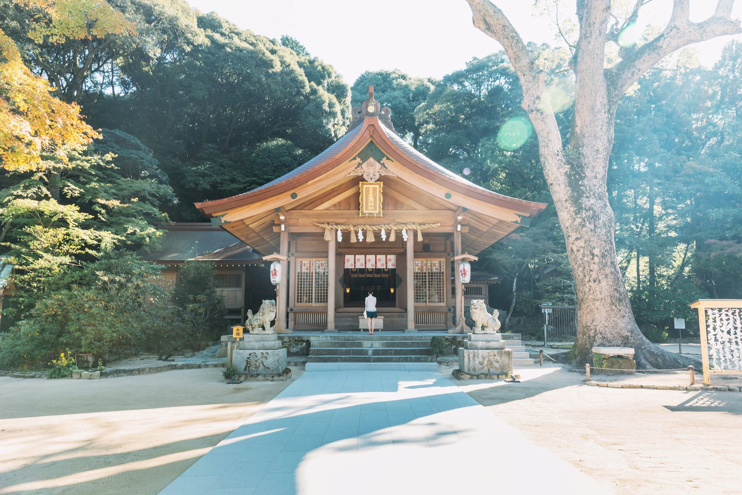 Sunlight filters through trees onto the wooden hall and stone komainu of Hōmangu Kamado Shrine, a tranquil mountain sanctuary in Dazaifu, Fukuoka.