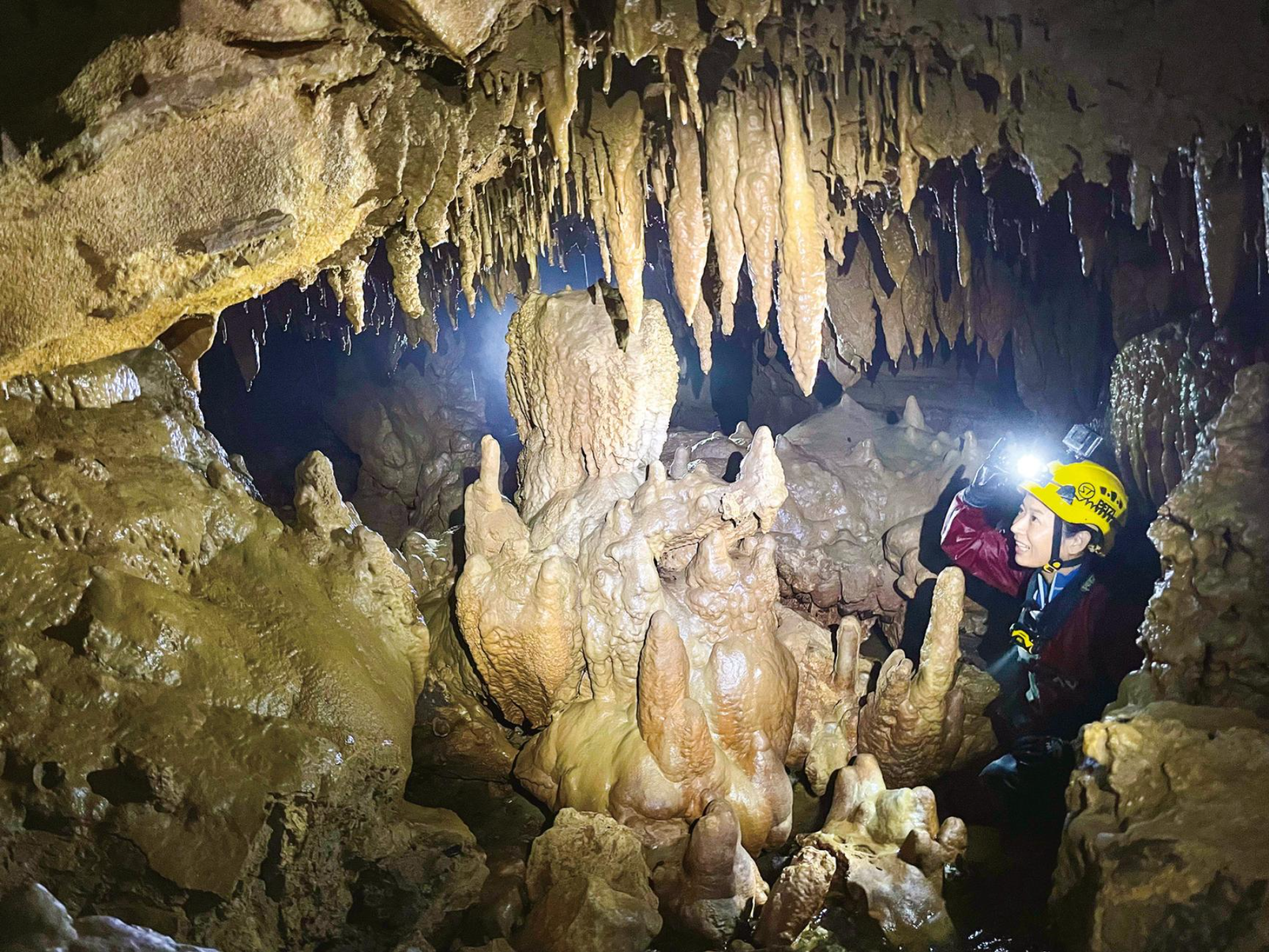 A modern building with glass doors and windows, decorated with flags and signs, including a cartoon tiger mascot wearing a white hat and cape, outdoors on a sunny day with trees in the background.