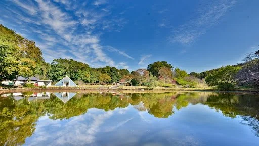 Sugao Marsh at Mitsukaido Asunaronosato in Ibaraki — calm waters mirror blue sky, clouds, and lush treeline in a quiet countryside retreat near Tokyo.