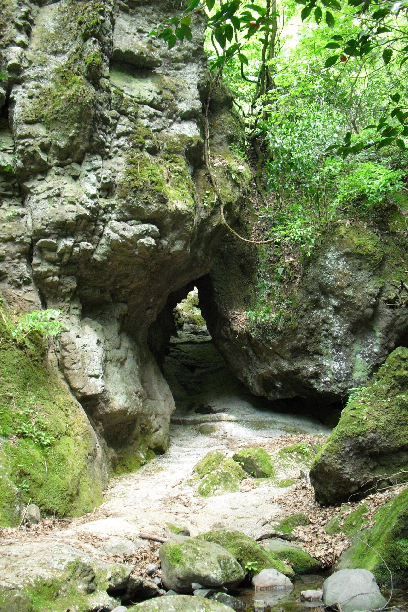 Moss-covered natural rock gate marking the entrance to Kiinokojyoshi, a Sengoku-era mountain fortress ruin in Chikujo, Fukuoka.