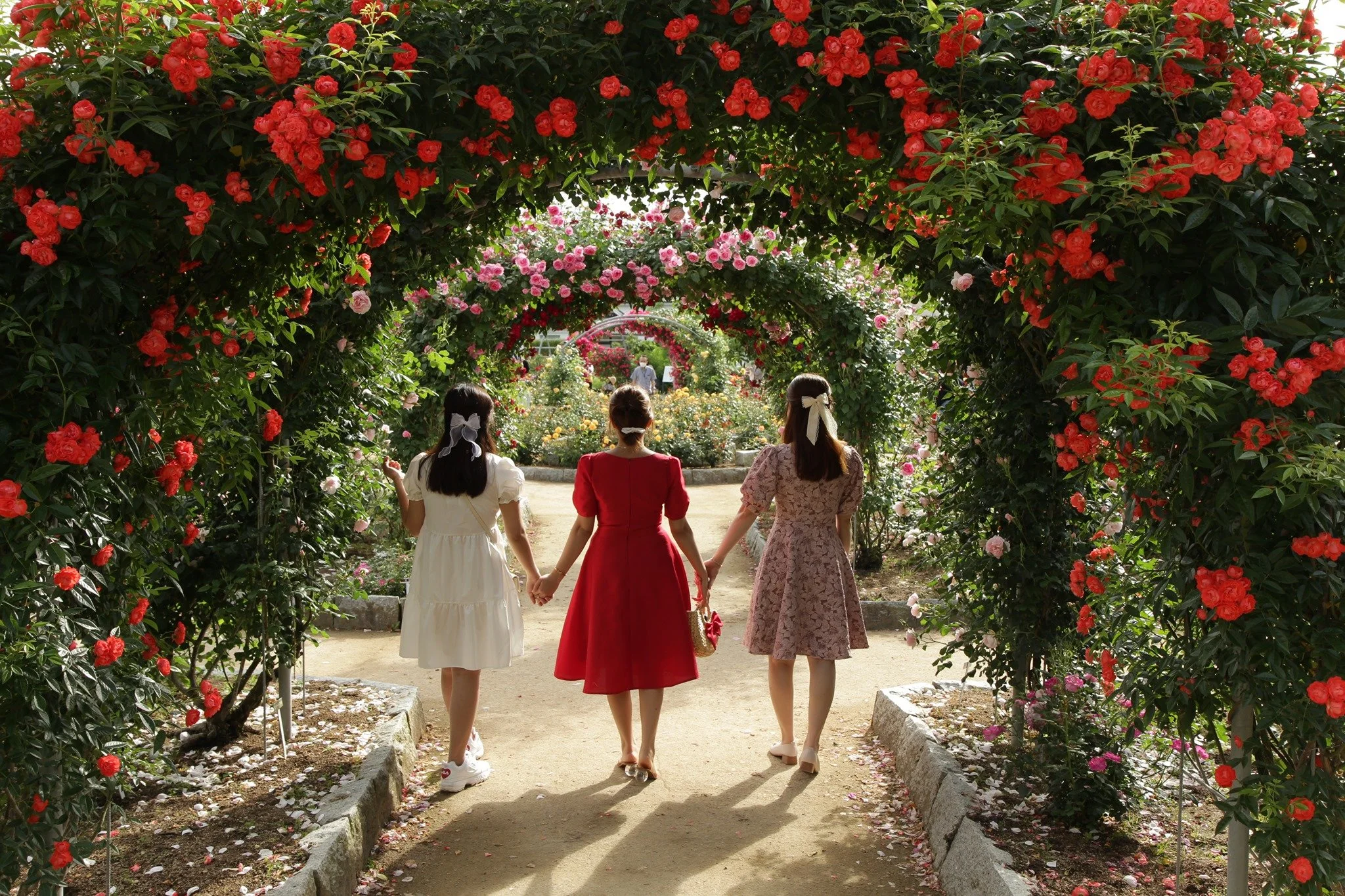 Three girls walk hand-in-hand through a blooming rose arch at Ayabe Rose Garden — a hidden gem of peace in rural Kyoto.