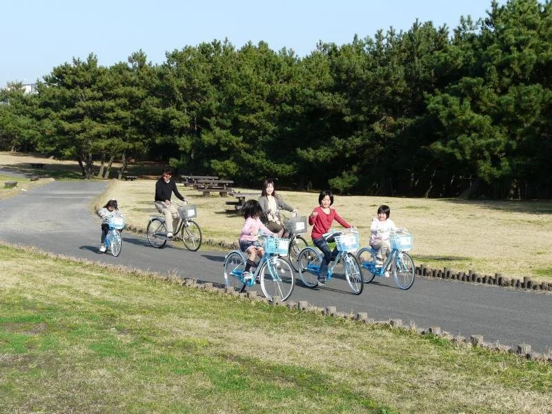 Families cycling together along a pine-lined path at Ashiya Seaside Park, a peaceful coastal retreat in Fukuoka, Japan.