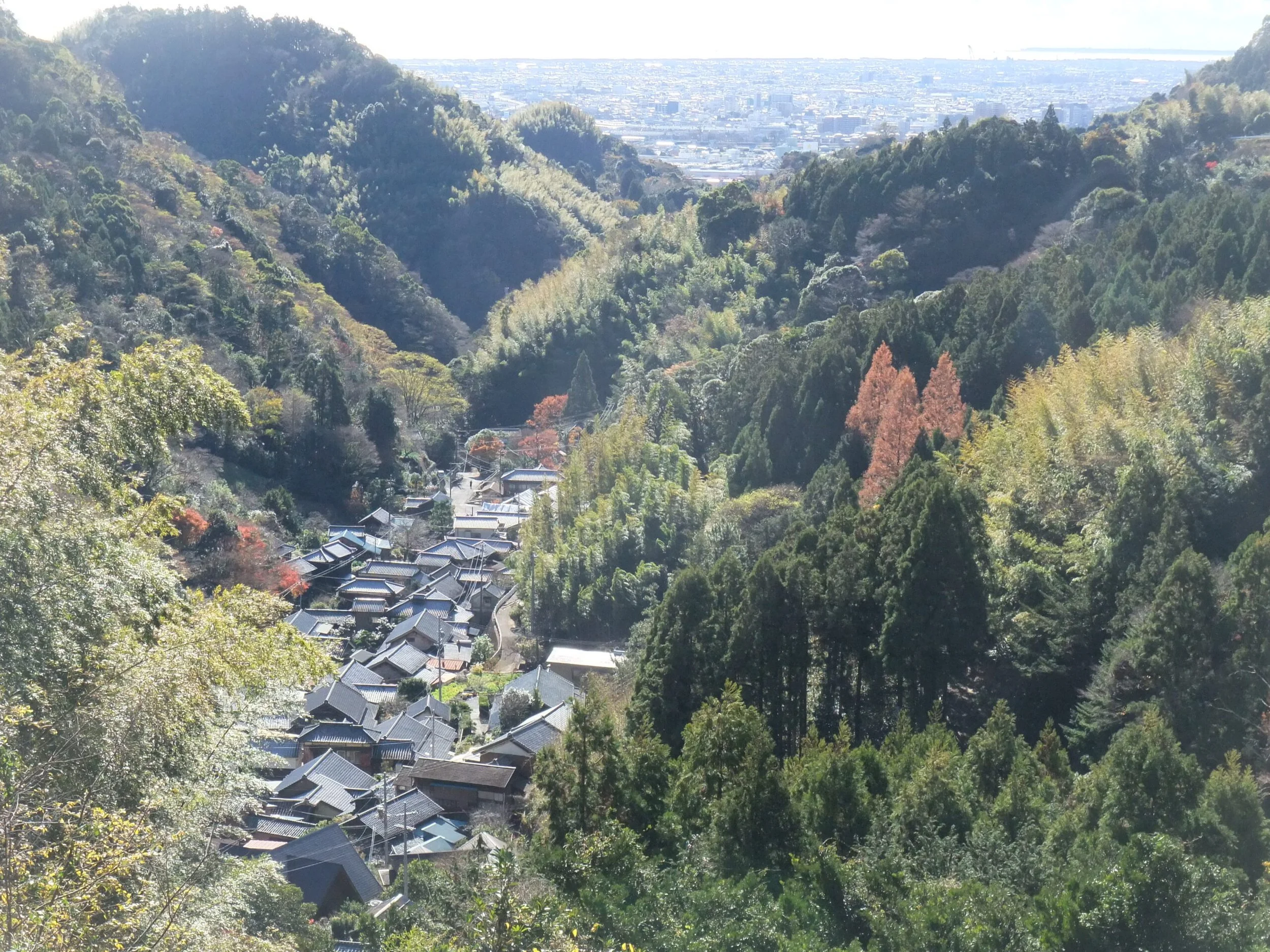 A bird's-eye view of Hanazawa-no-Sato, a timeless mountain hamlet nestled in a forested valley in Yaizu, Shizuoka — one of Japan's hidden gems.