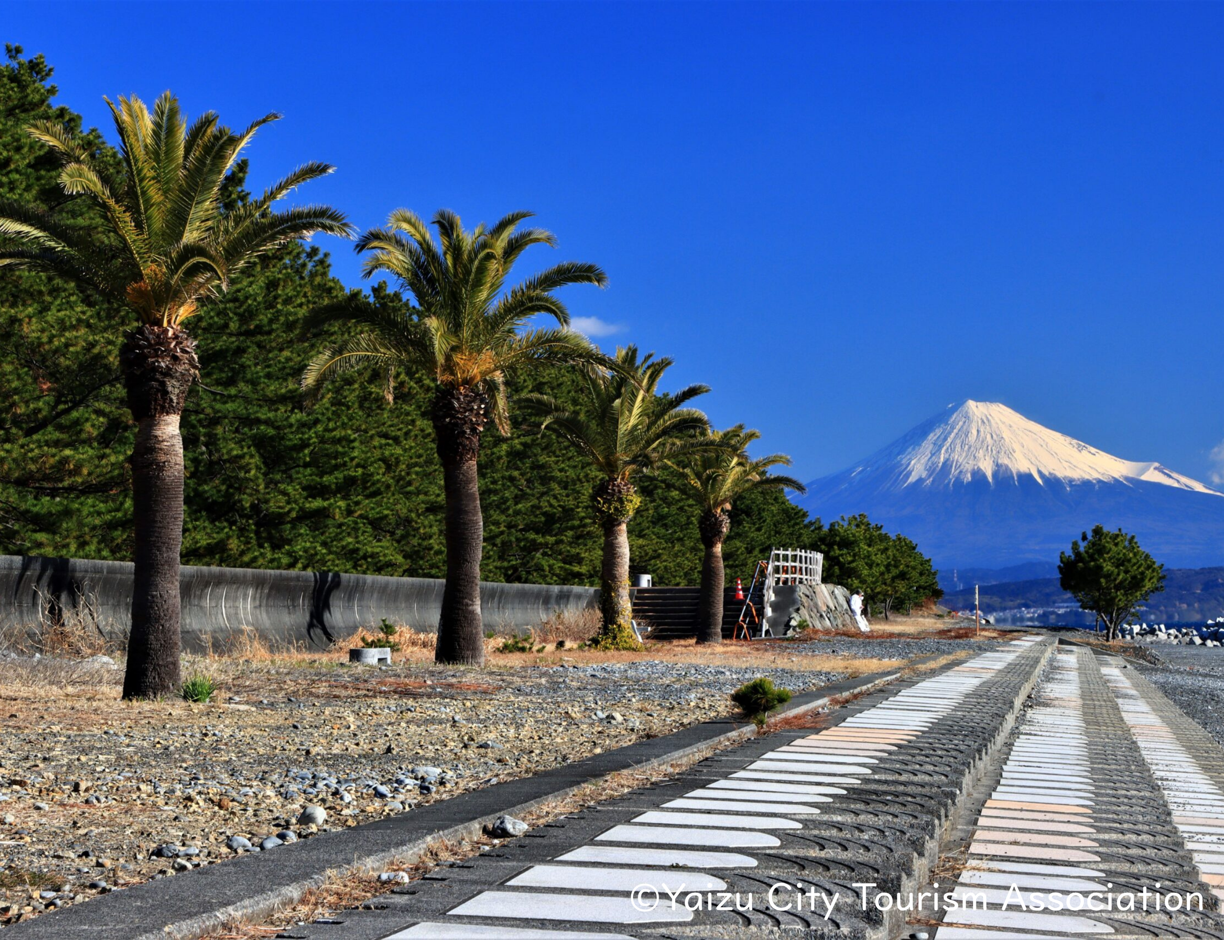 焼津＿和田浜海岸からの富士山