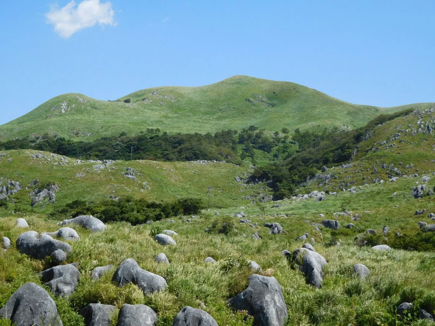 Green rolling hills with scattered rocks and trees under a blue sky with few clouds.