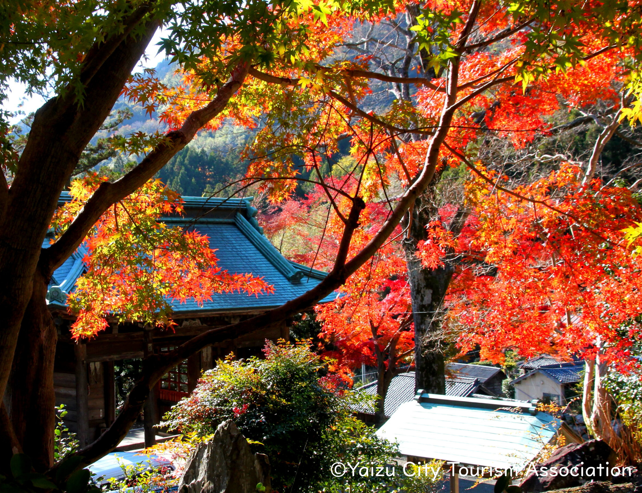 焼津_法華寺（秋）
