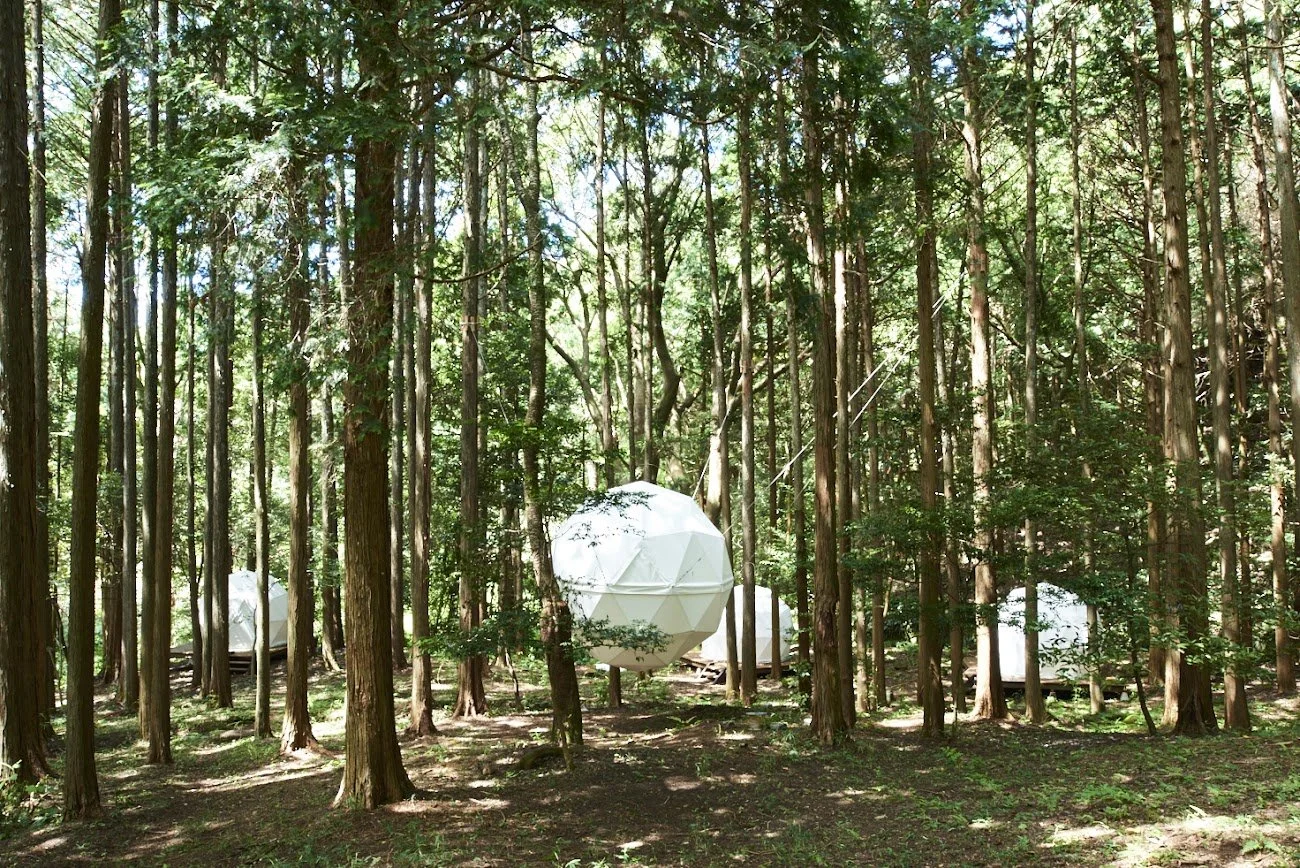 White geodesic sphere tents nestled among tall forest trees at INN THE PARK Numazu — a dreamlike glamping escape in Shizuoka, Japan.