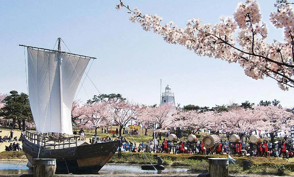 Replica Kitamaebune sailing ship beside cherry blossoms and a historic lighthouse at Sakata's waterfront, celebrating the city's Edo-era maritime heritage.