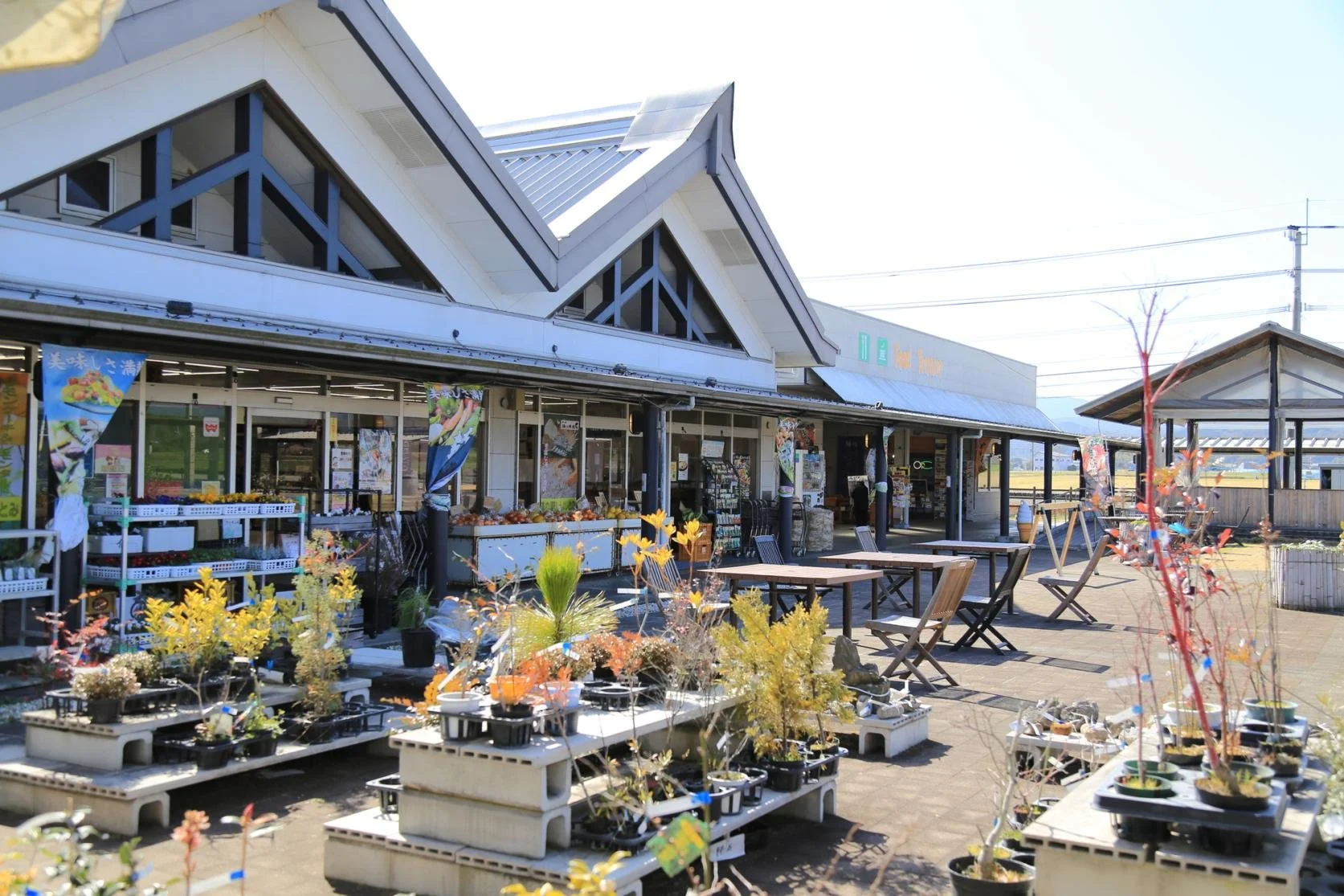 Sunlit courtyard of Roadside Station Shinyoshitomi in Koge Town, Fukuoka — potted plants, wooden tables, and a peaked-roof building beside historic ruins.
