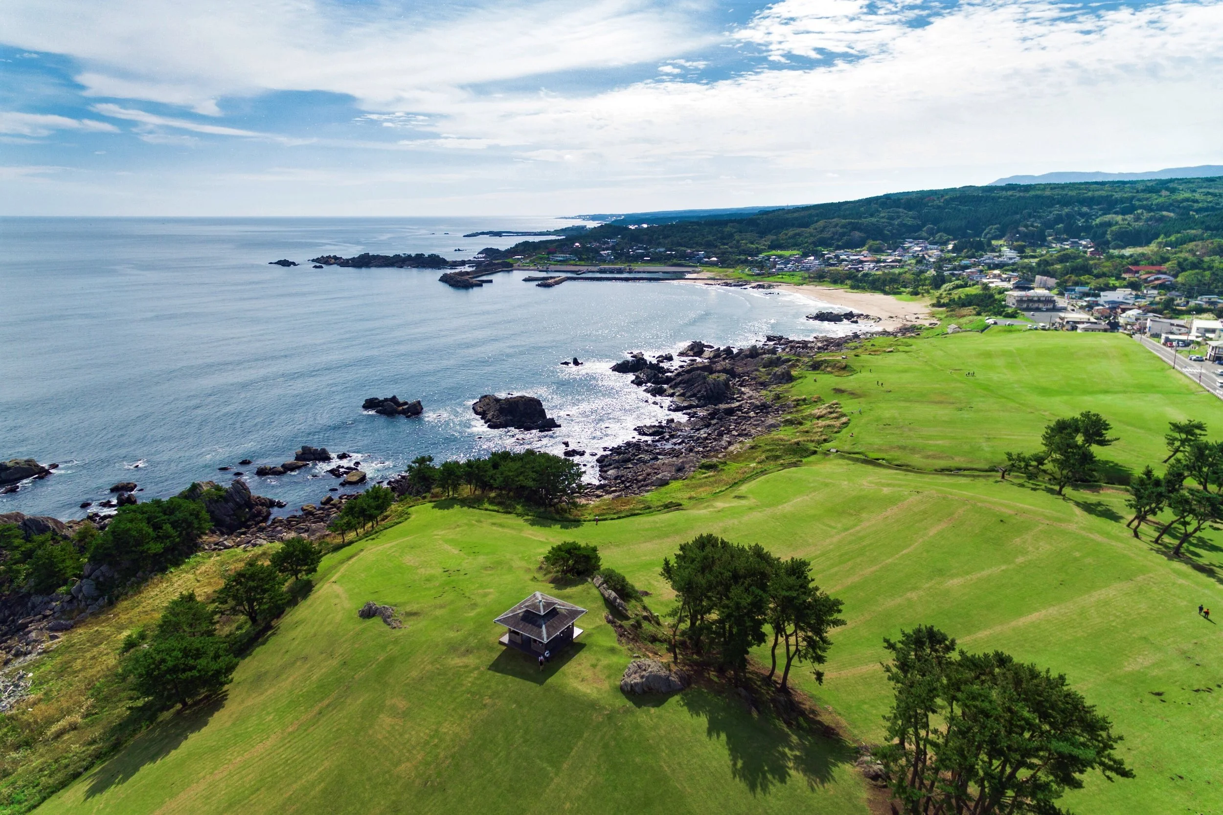 Aerial view of Tanesashi Natural Lawn Area in Hachinohe — verdant coastal grass meeting the rocky Pacific shoreline under bright blue skies.