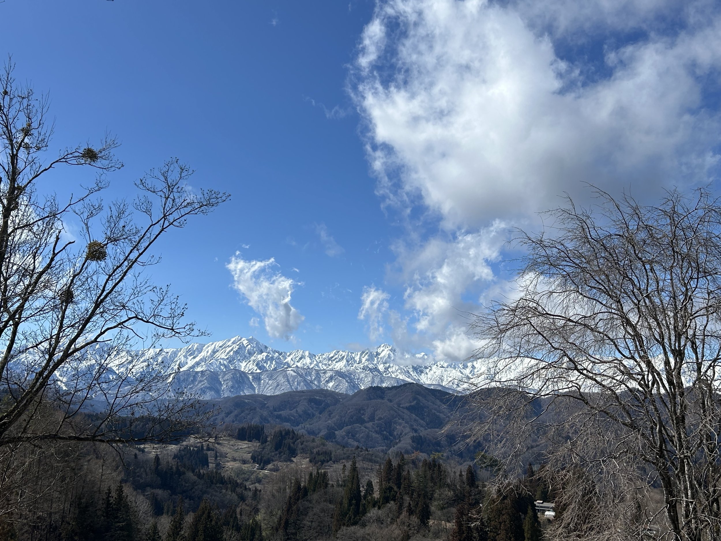 IMG_6578.jpeg