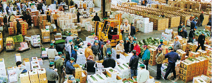 Aerial view of a bustling Kitakyushu wholesale market — workers sorting vegetable crates at dawn, a rare behind-the-scenes glimpse of Japan's local food supply chain.