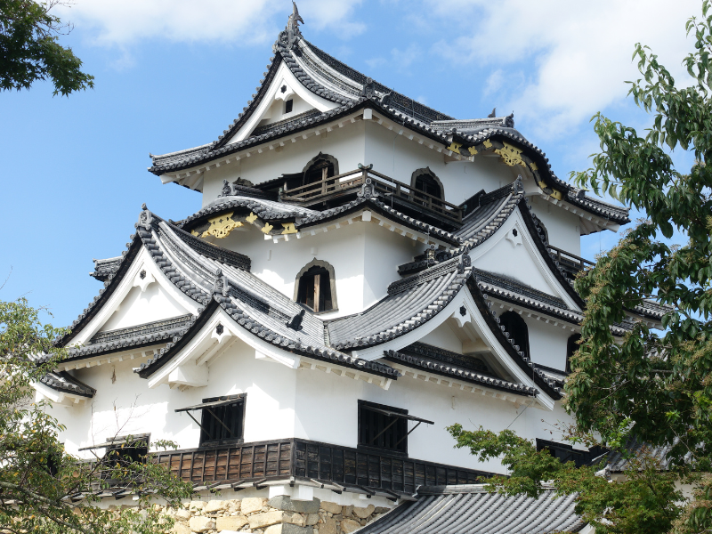 Hikone Castle's white-walled keep and gilded eaves rising above stone ramparts — one of Japan's five National Treasure castles, Shiga.