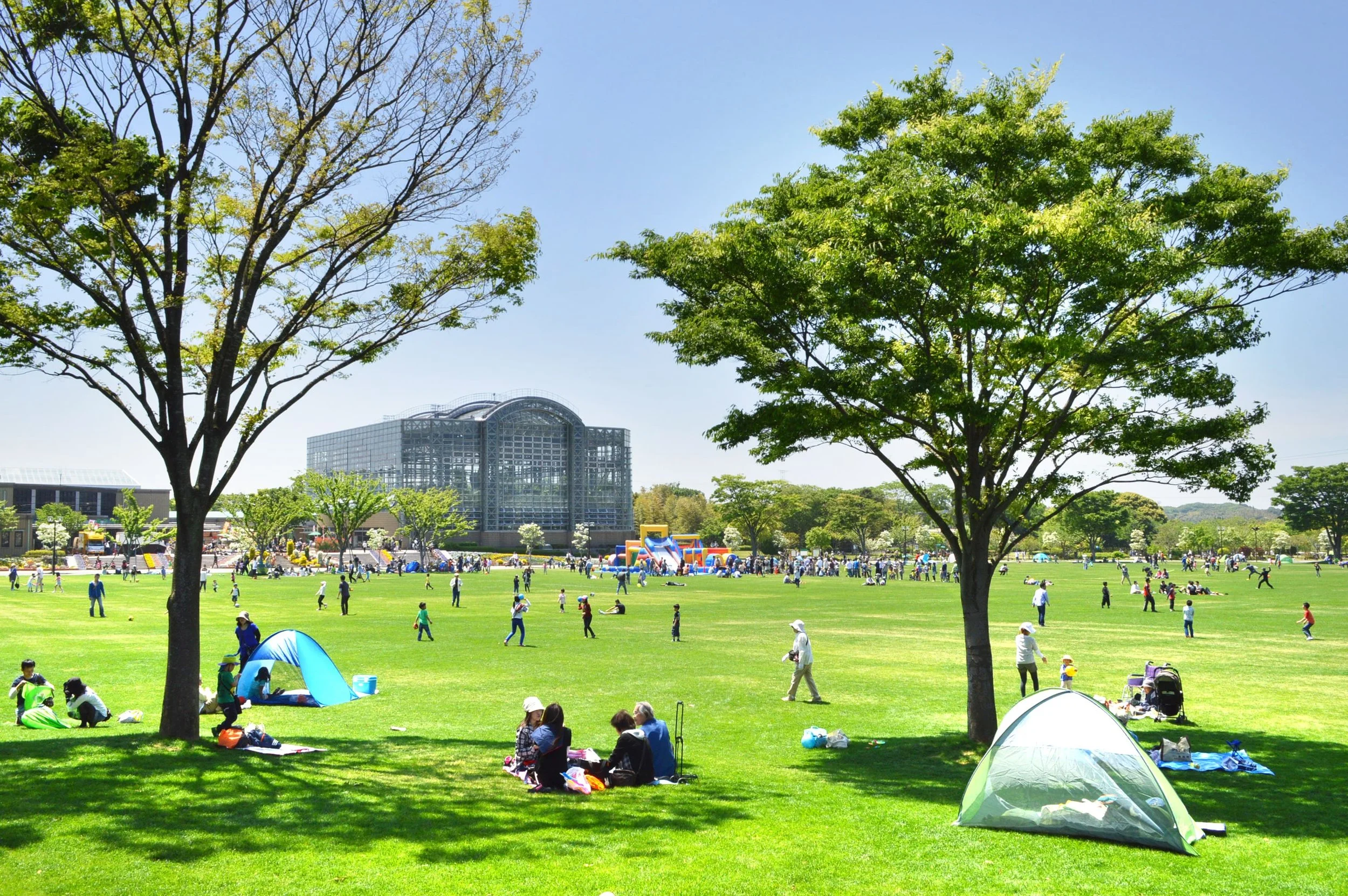Families picnic on a sunlit lawn under shade trees at Hibikinada Green Park in Kitakyushu, with a dome greenhouse in the distance.