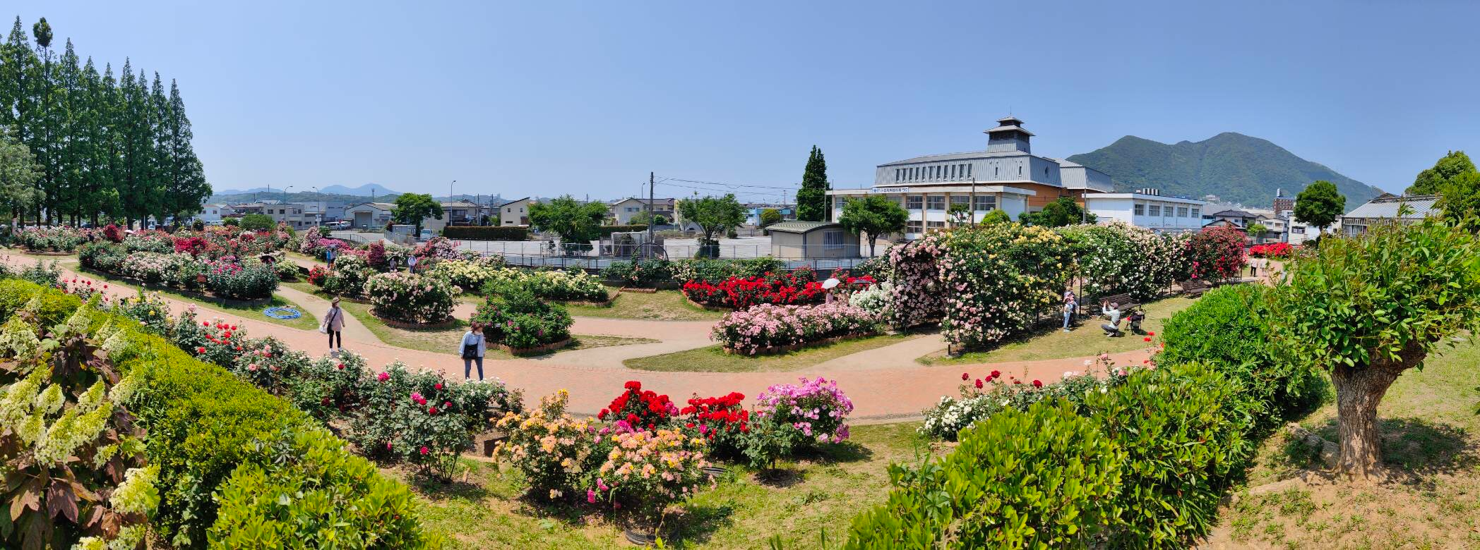 Colorful seasonal flowers in full bloom across the open grounds of Kitakyushu City Comprehensive Agricultural Center — a hidden gem park.