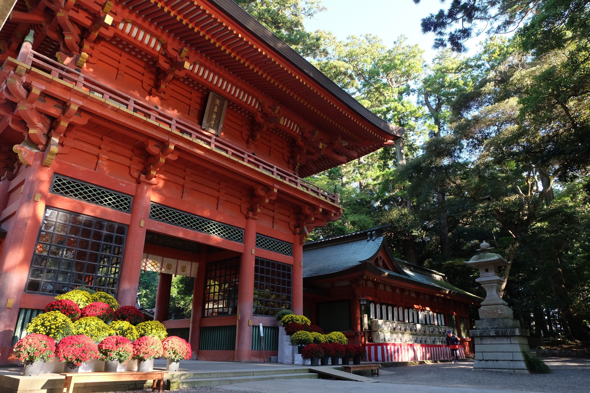 Vermilion Momoyama-era gate of Kashima Jingu shrine framed by chrysanthemums, stone lantern, and cedar forest — a serene sacred site in Ibaraki, Japan.