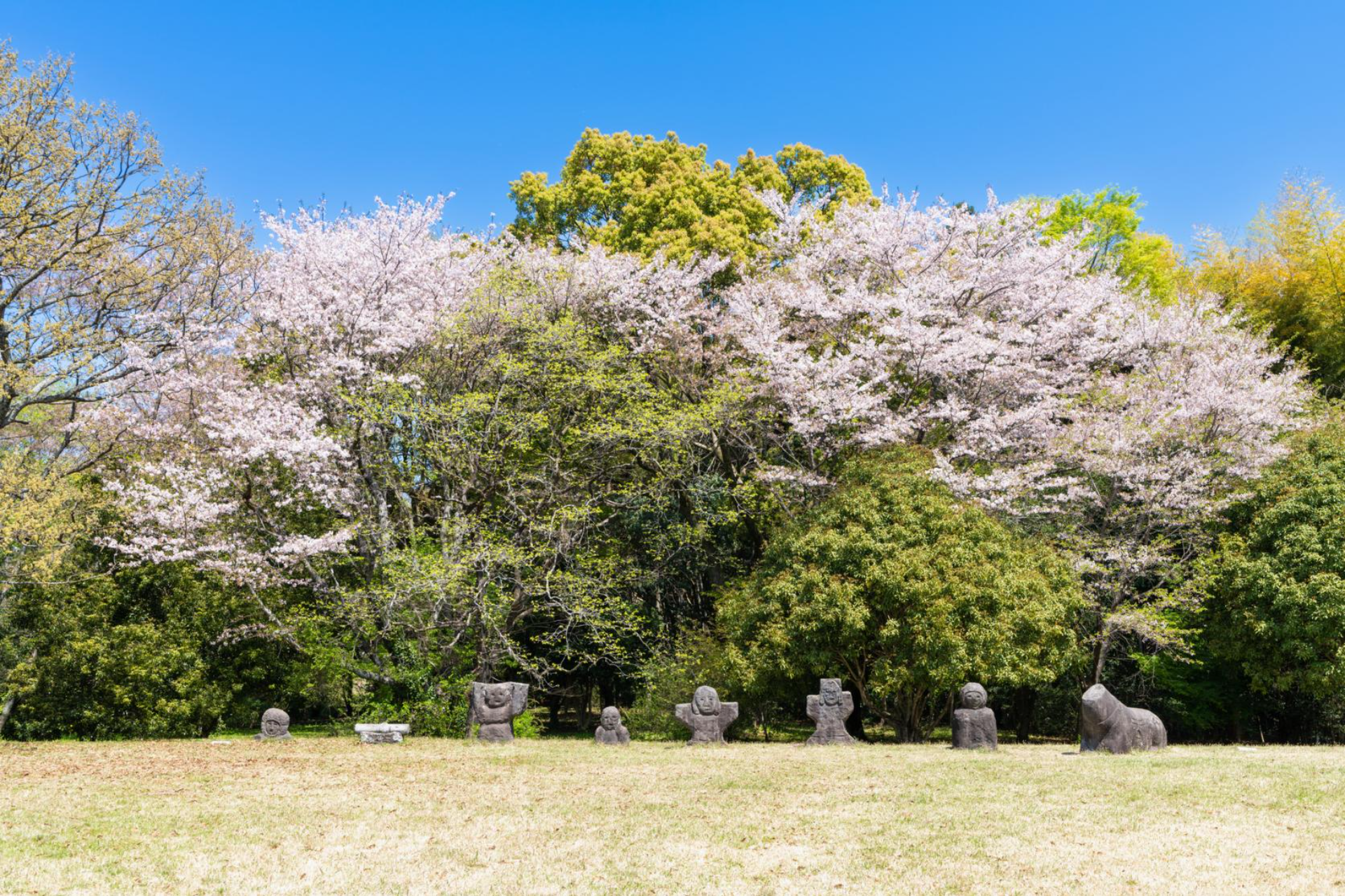 Japan's Greatest Ancient Mystery: Could Yame Be the Home of Yamai?