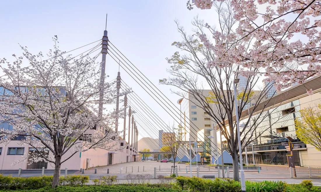 西日本総合展示場 本館_02.jpg