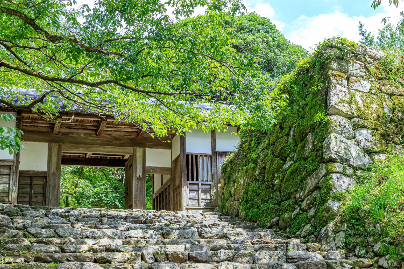 Stone stairway leading to a traditional wooden gate framed by moss-covered stone walls and green foliage at Akizuki Castle Ruins in Asakura, Fukuoka.