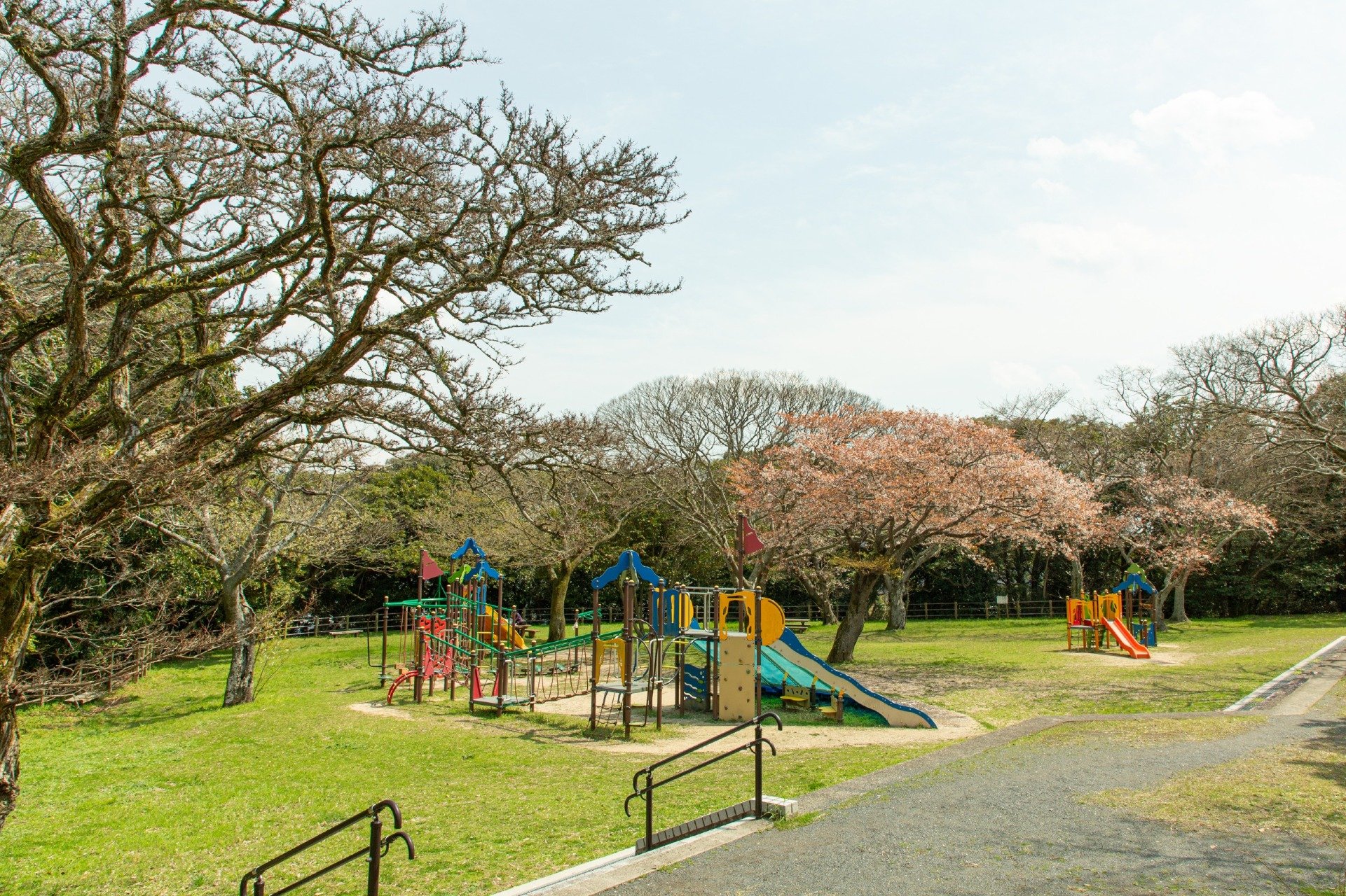 A dessert served in a tall glass with various toppings like fruit, beans, and cookies, viewed on a tray with a blurred background.