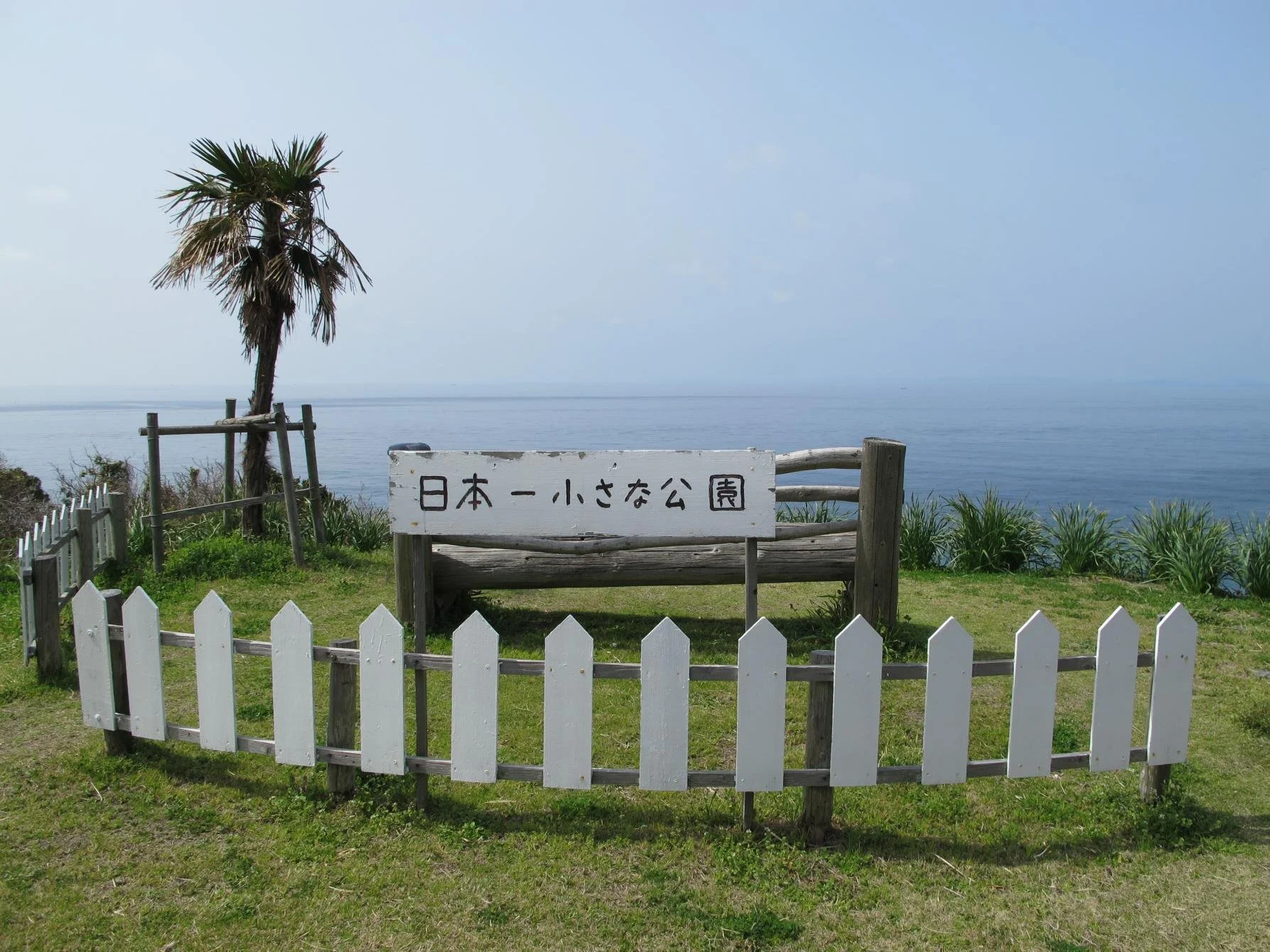 A lone palm tree and wooden bench at Japan's Smallest Park, with the calm Goto Sea stretching to the horizon, Matsushima Island, Nagasaki.