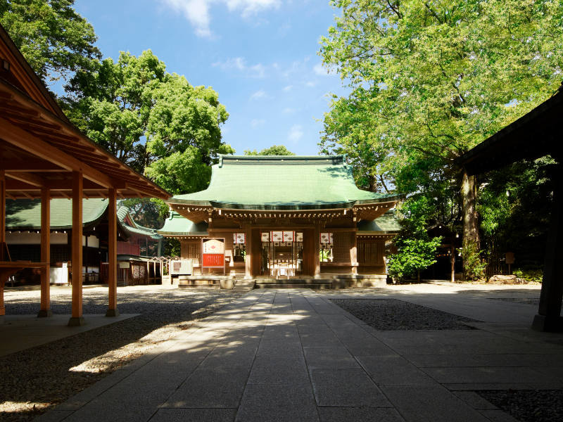 The main hall of Kawagoe Hikawa Shrine bathed in soft light — a 1,500-year-old matchmaking sanctuary in Little Edo, Saitama.