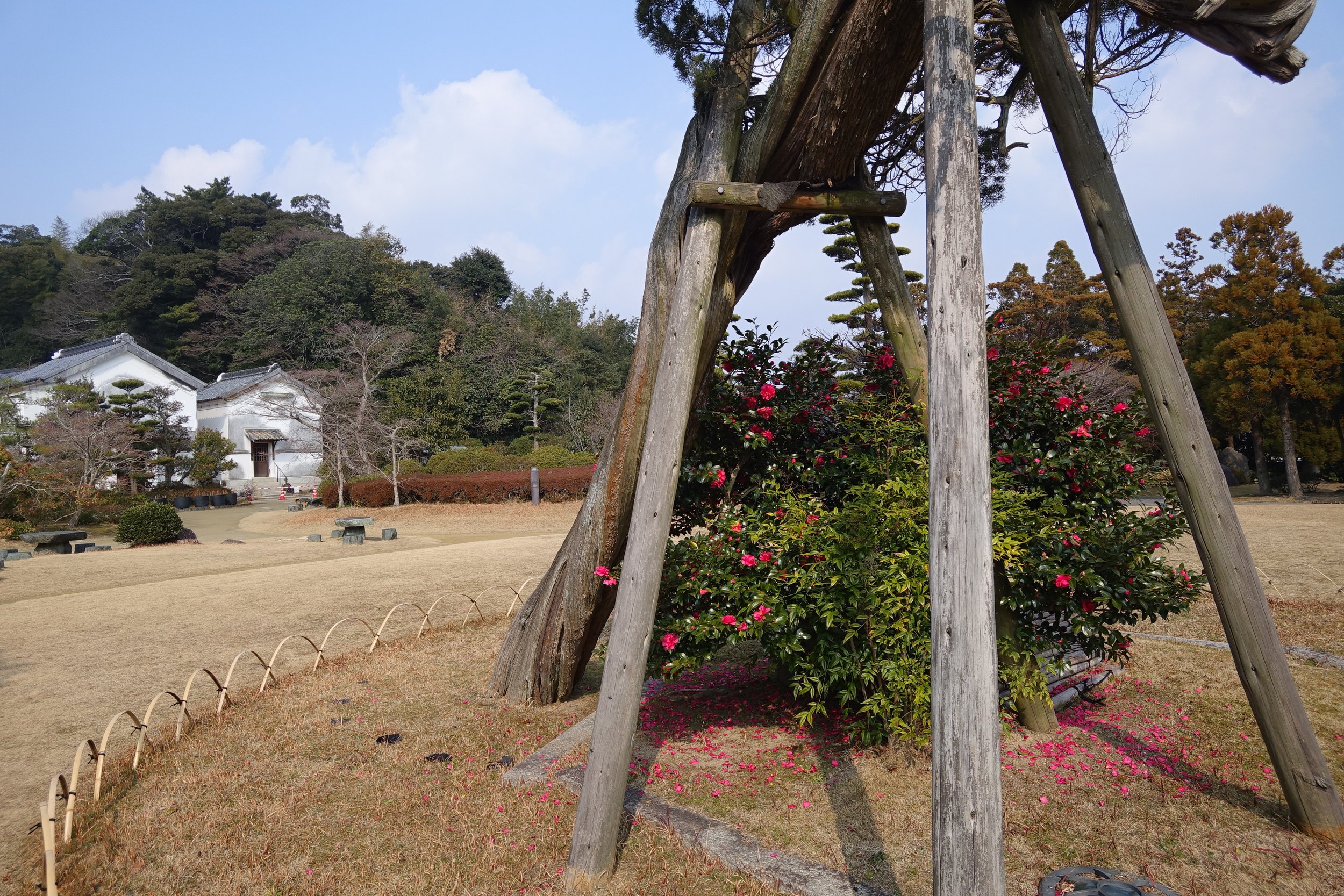 DSC04878.JPG