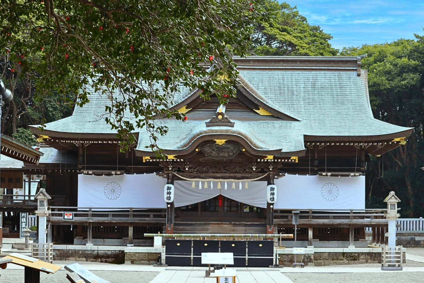 Front view of Sakatsura Isosaki Shrine's wooden hall in Hitachinaka, with white chrysanthemum-emblem curtains and a green-tiled roof framed by camellia trees.